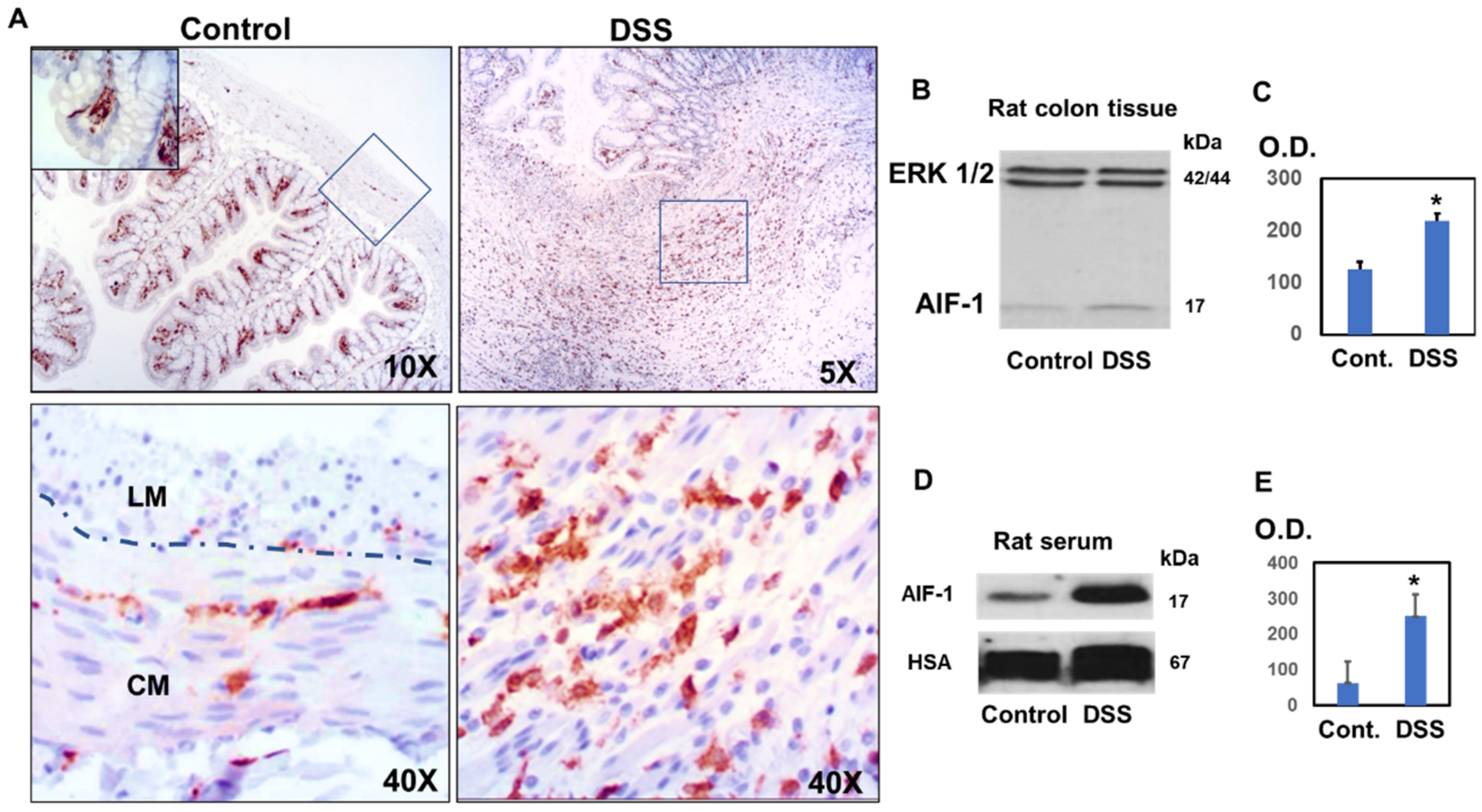 Biomedicines 10 00727 g002 550