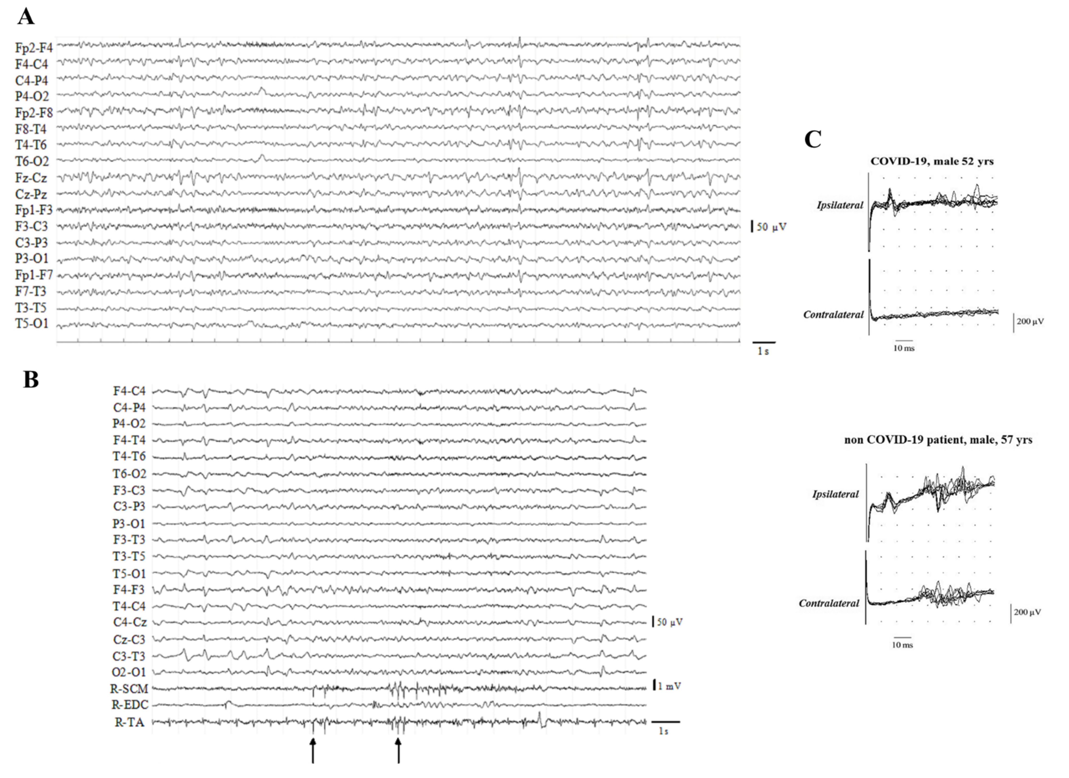 Biomedicines 10 00729 g003