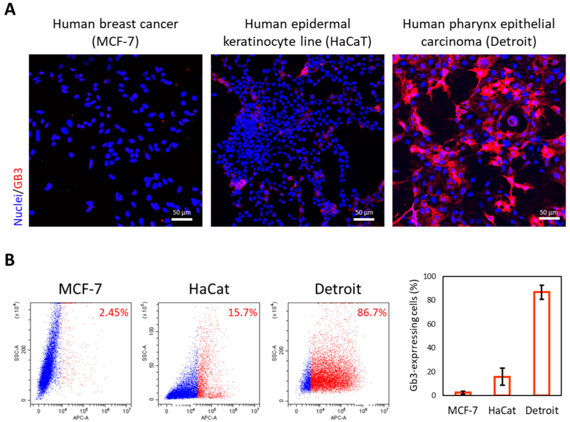 Biomedicines 10 00732 g001 550