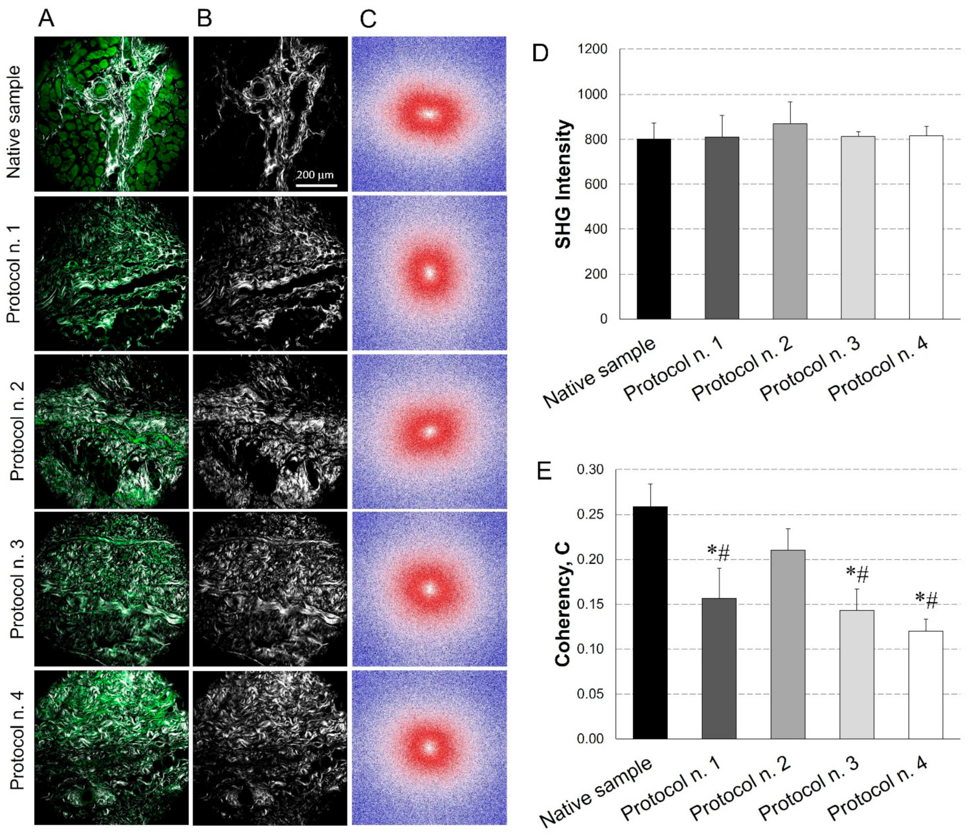 Biomedicines 10 00739 g005 550