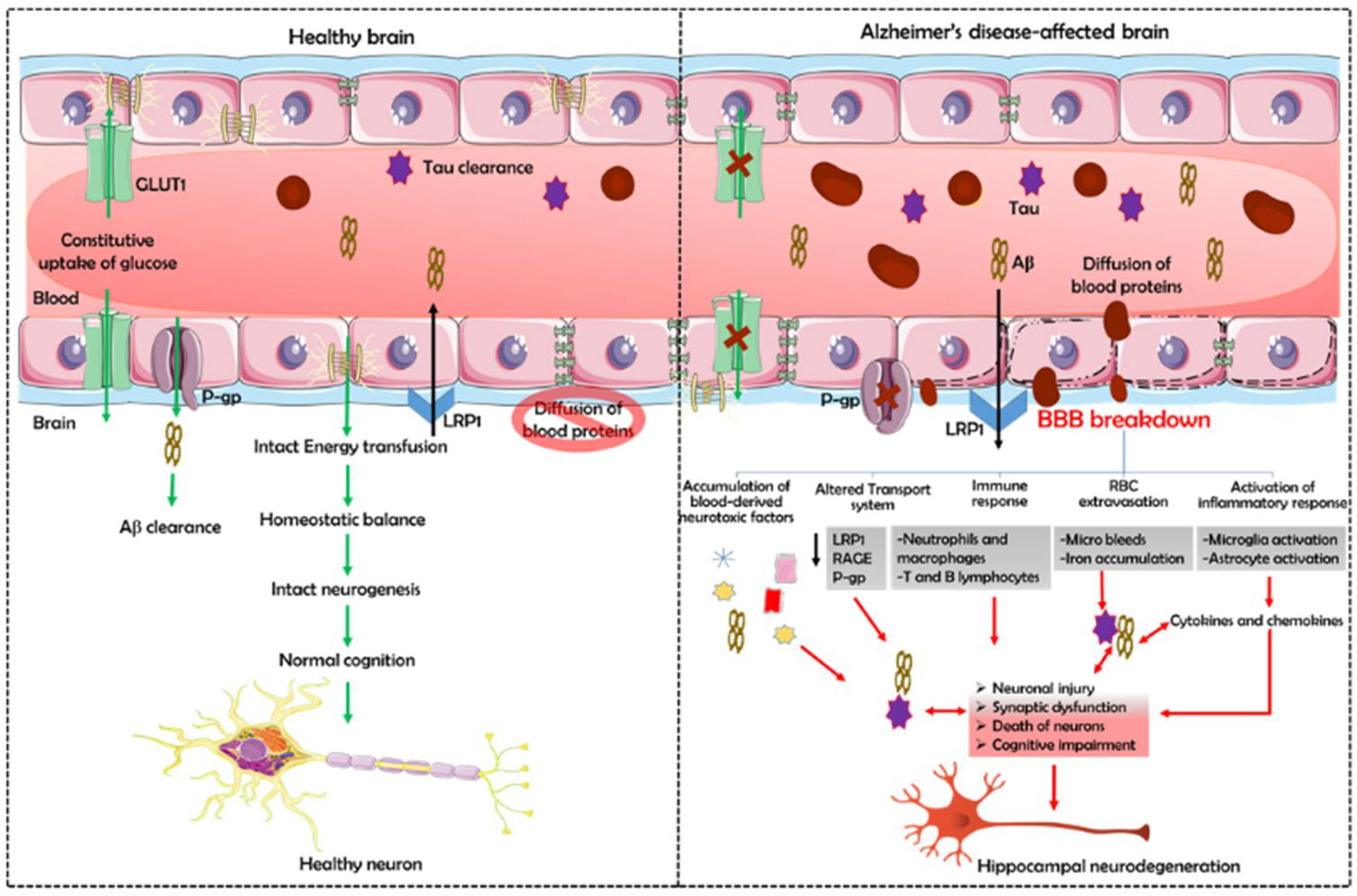 Biomedicines 10 00742 g002