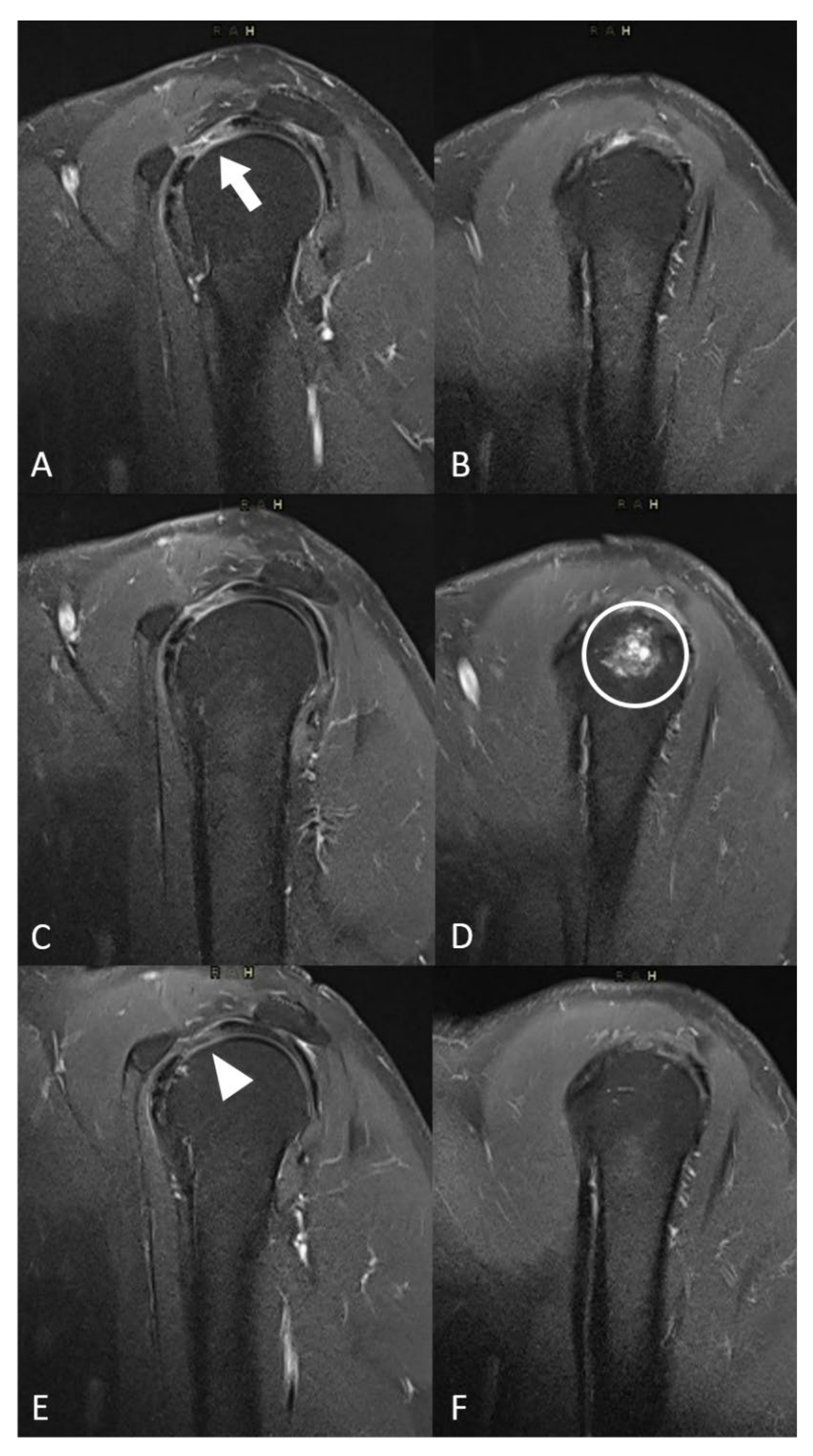 Biomedicines 10 00744 g003