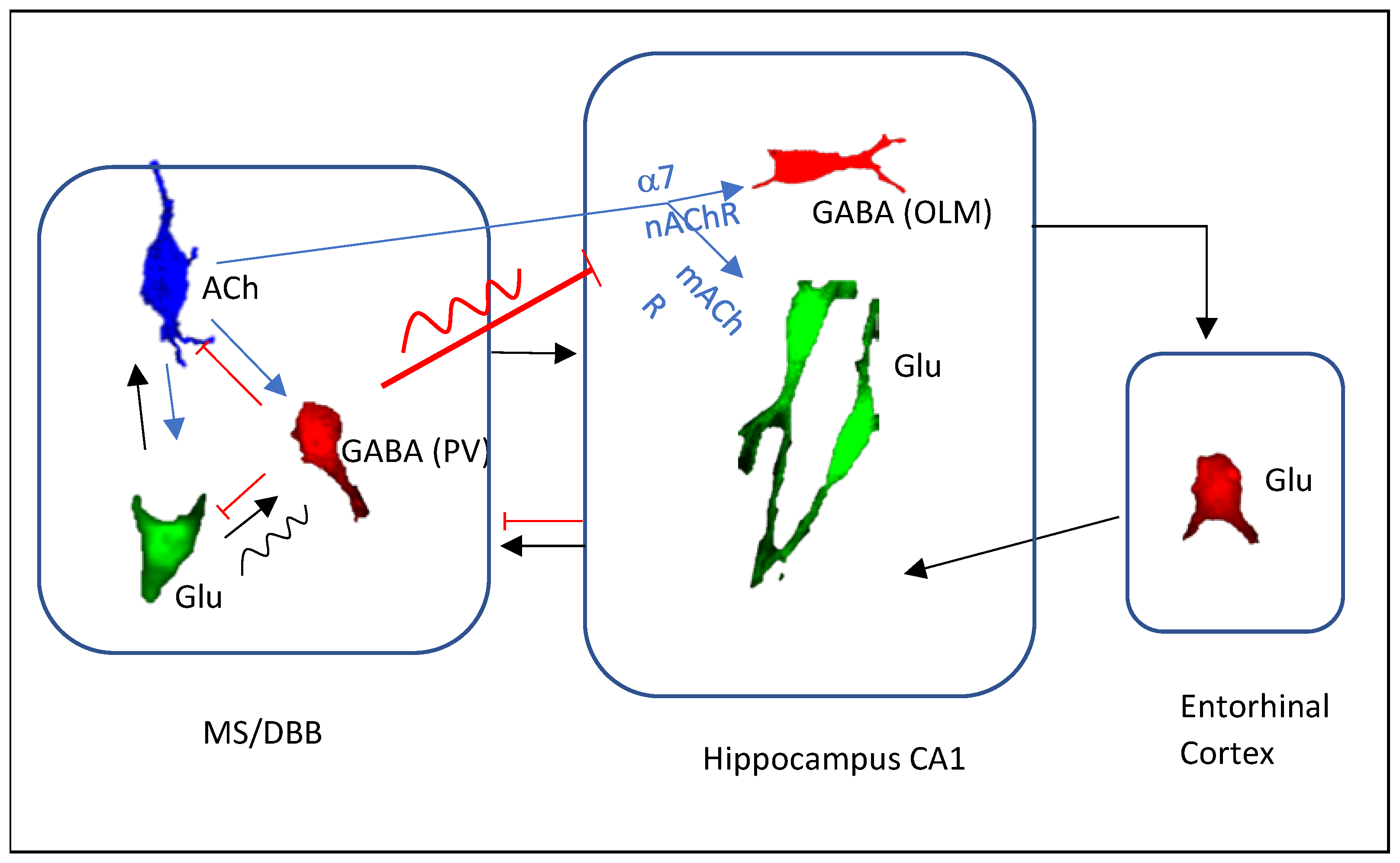 Biomedicines 10 00745 g001 Biomedicines 10 00745 g001