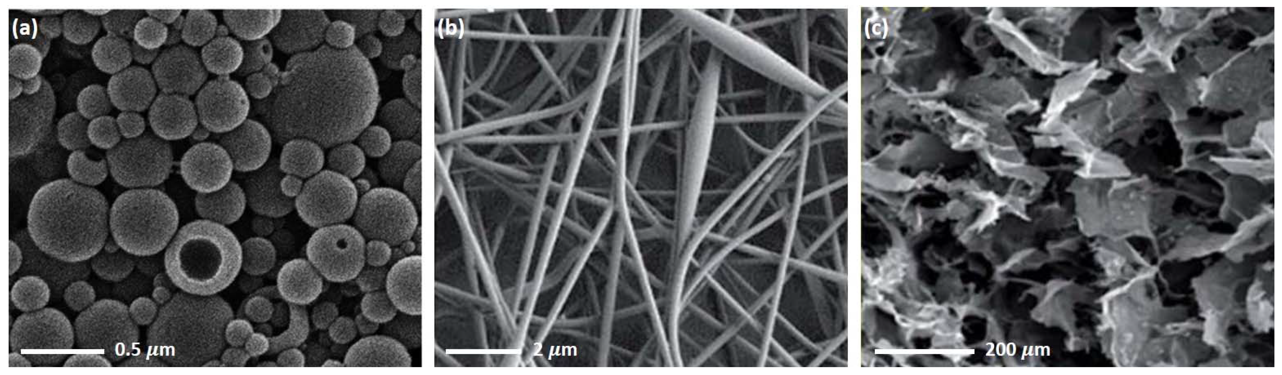 Biomedicines 10 00747 g003 550