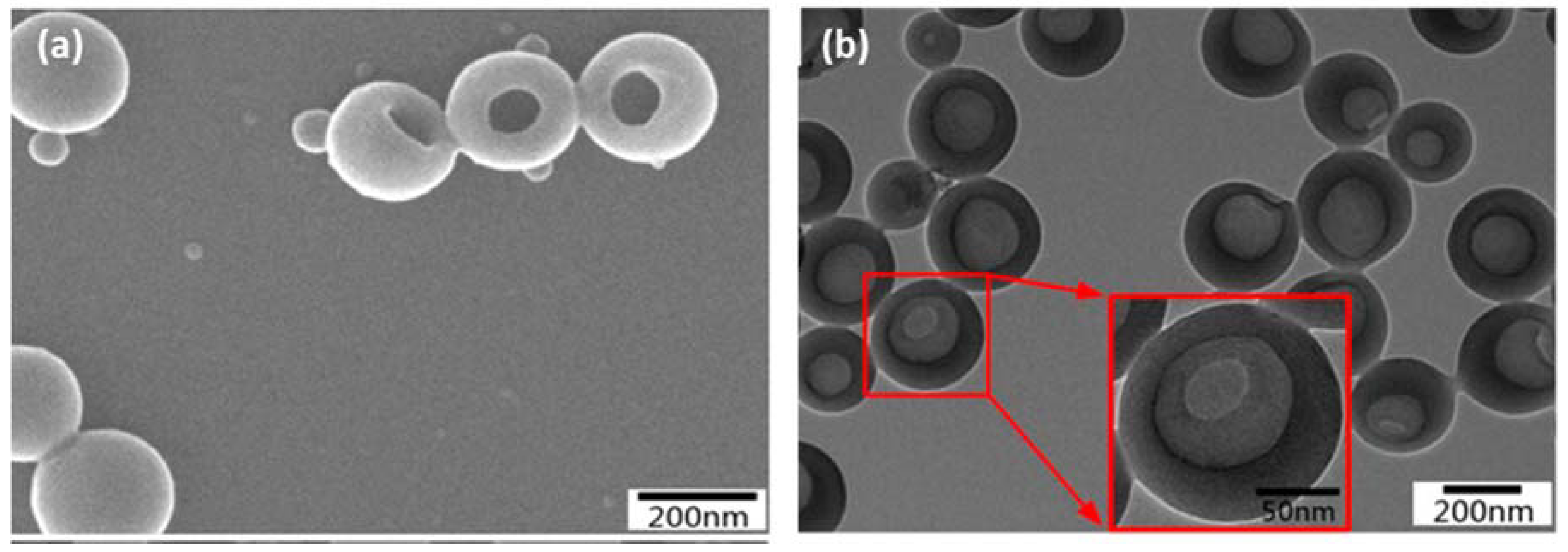 Biomedicines 10 00747 g006 550