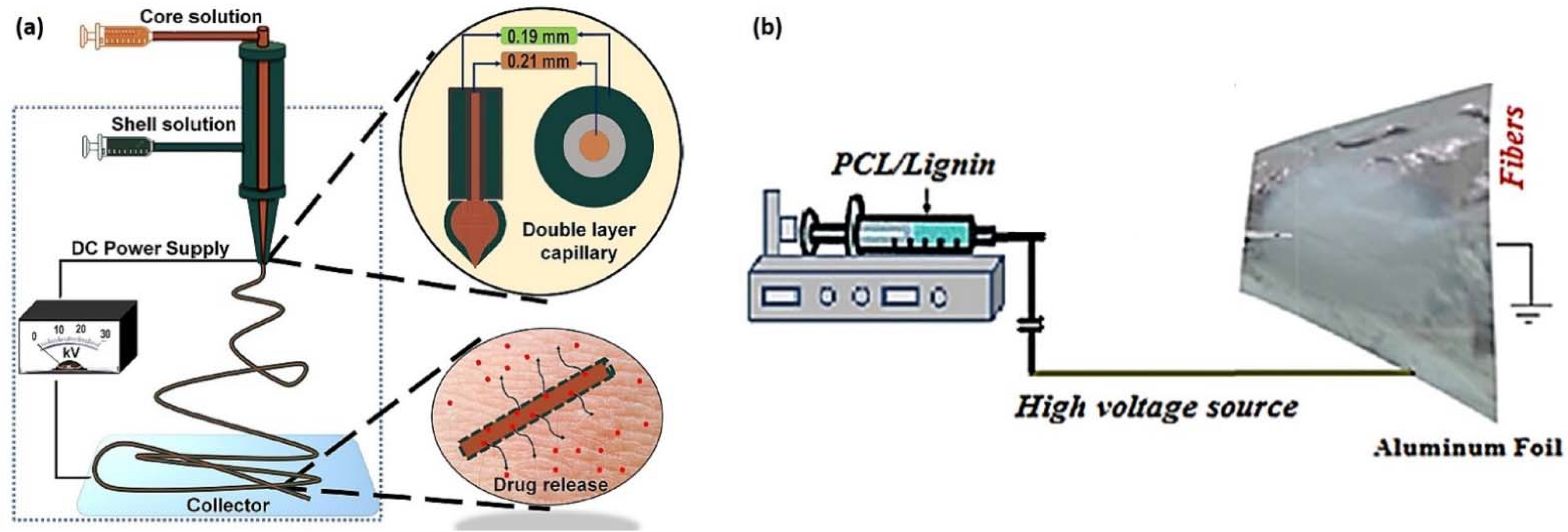Biomedicines 10 00747 g008 550