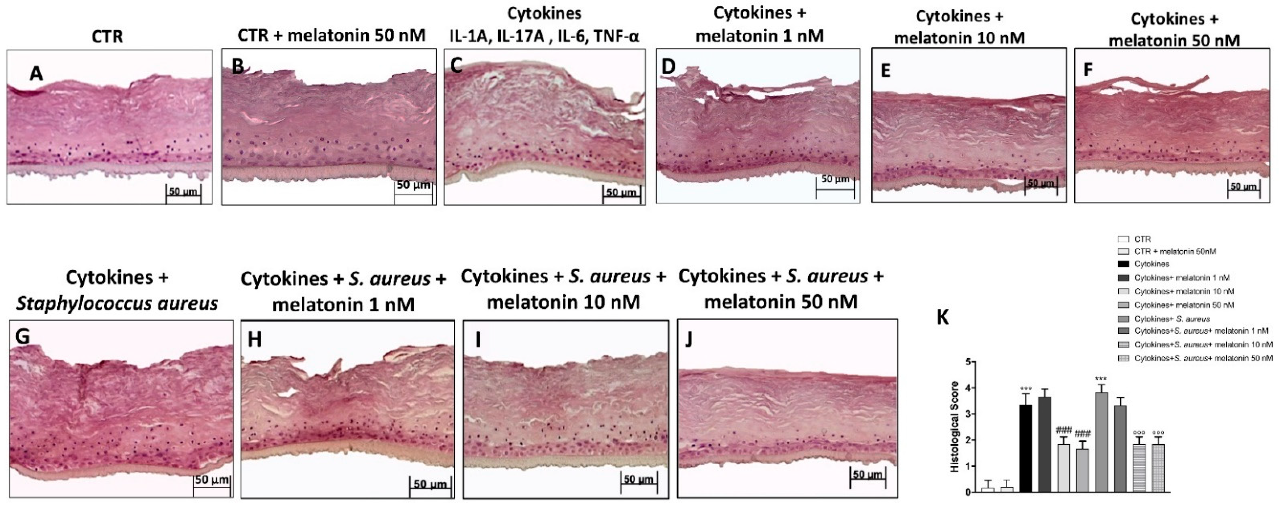 Biomedicines 10 00752 g003 550