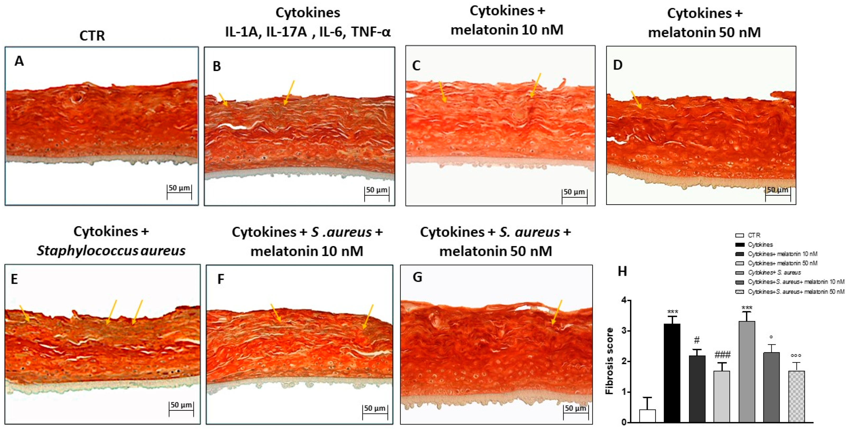 Biomedicines 10 00752 g004 550