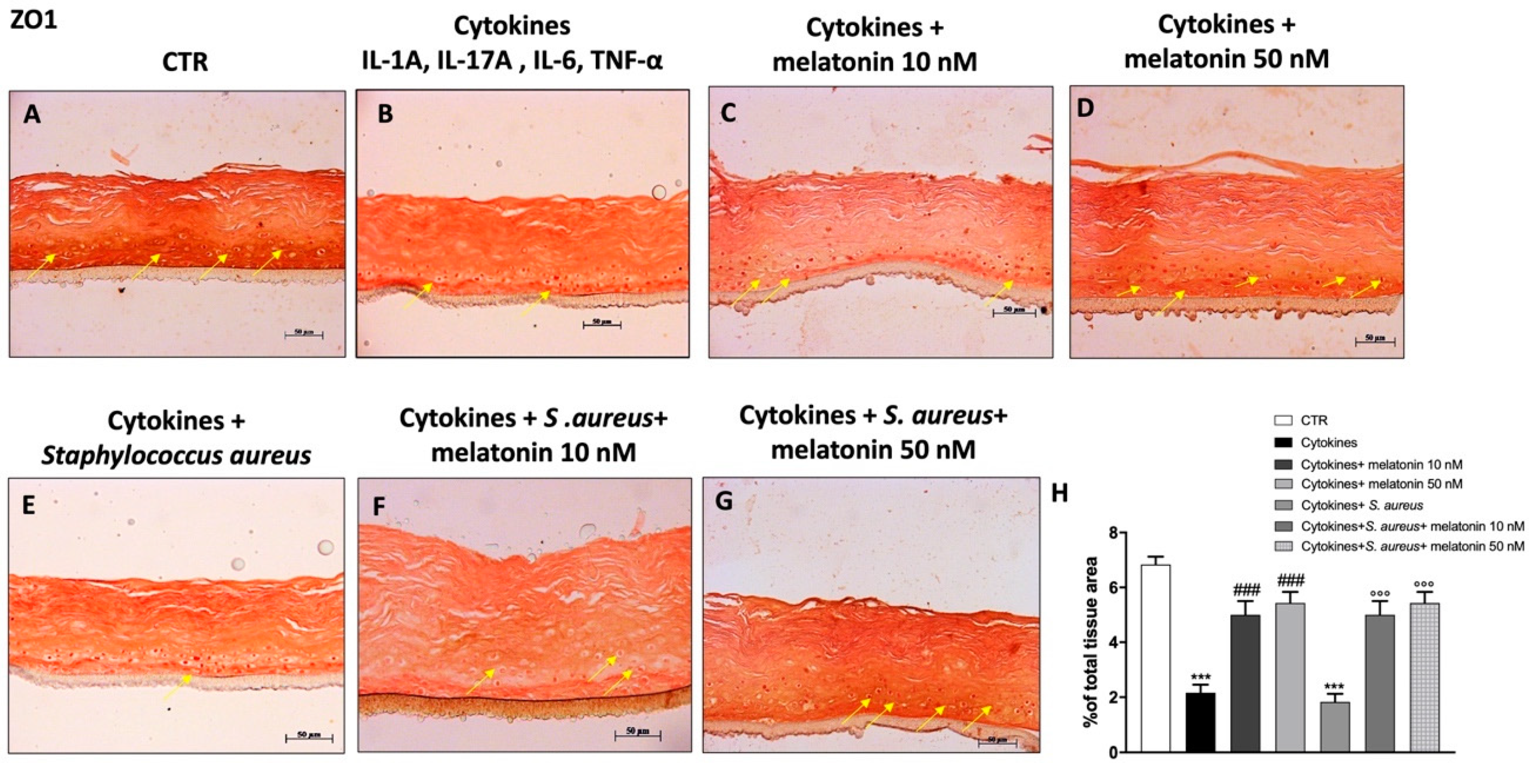 Biomedicines 10 00752 g005 550