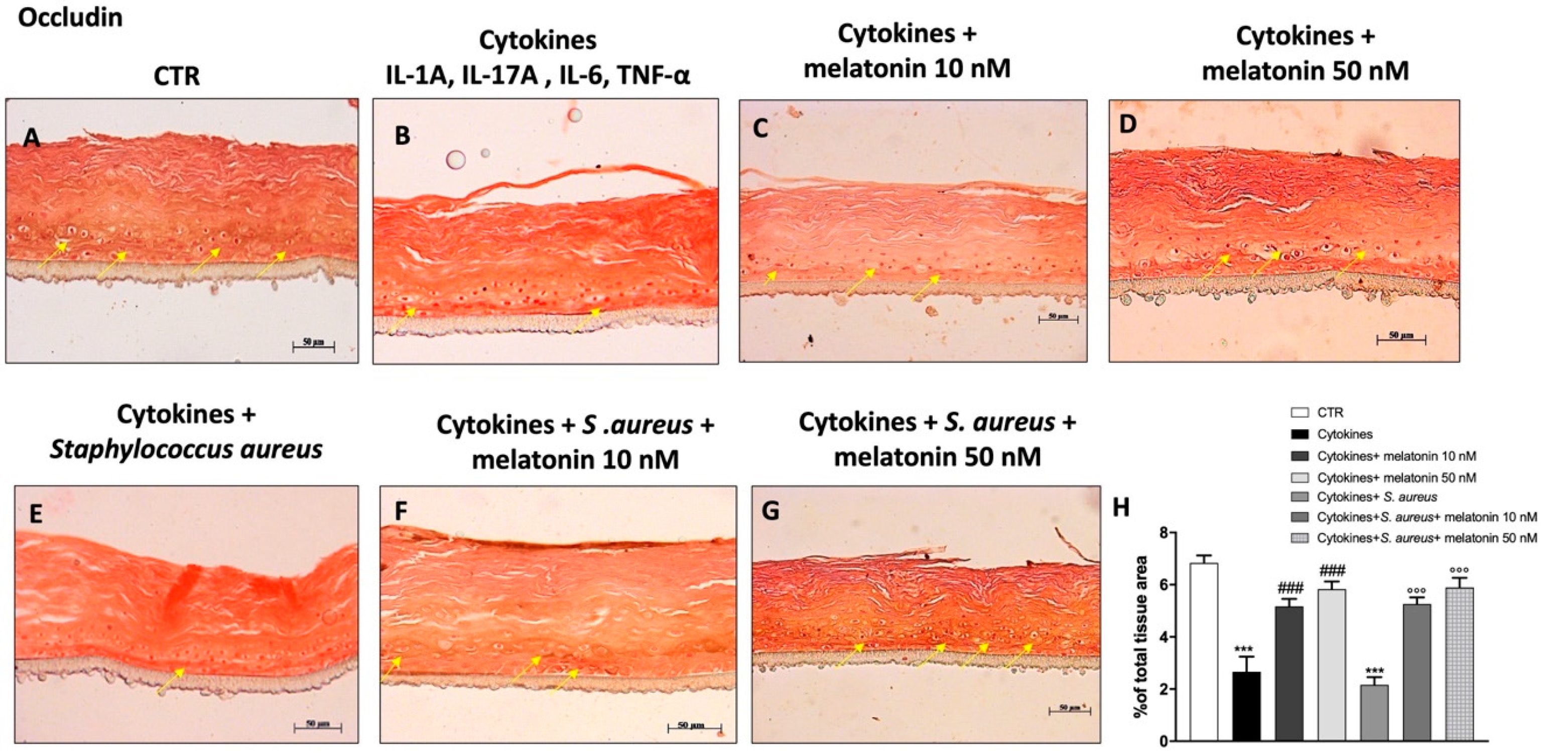Biomedicines 10 00752 g006 550