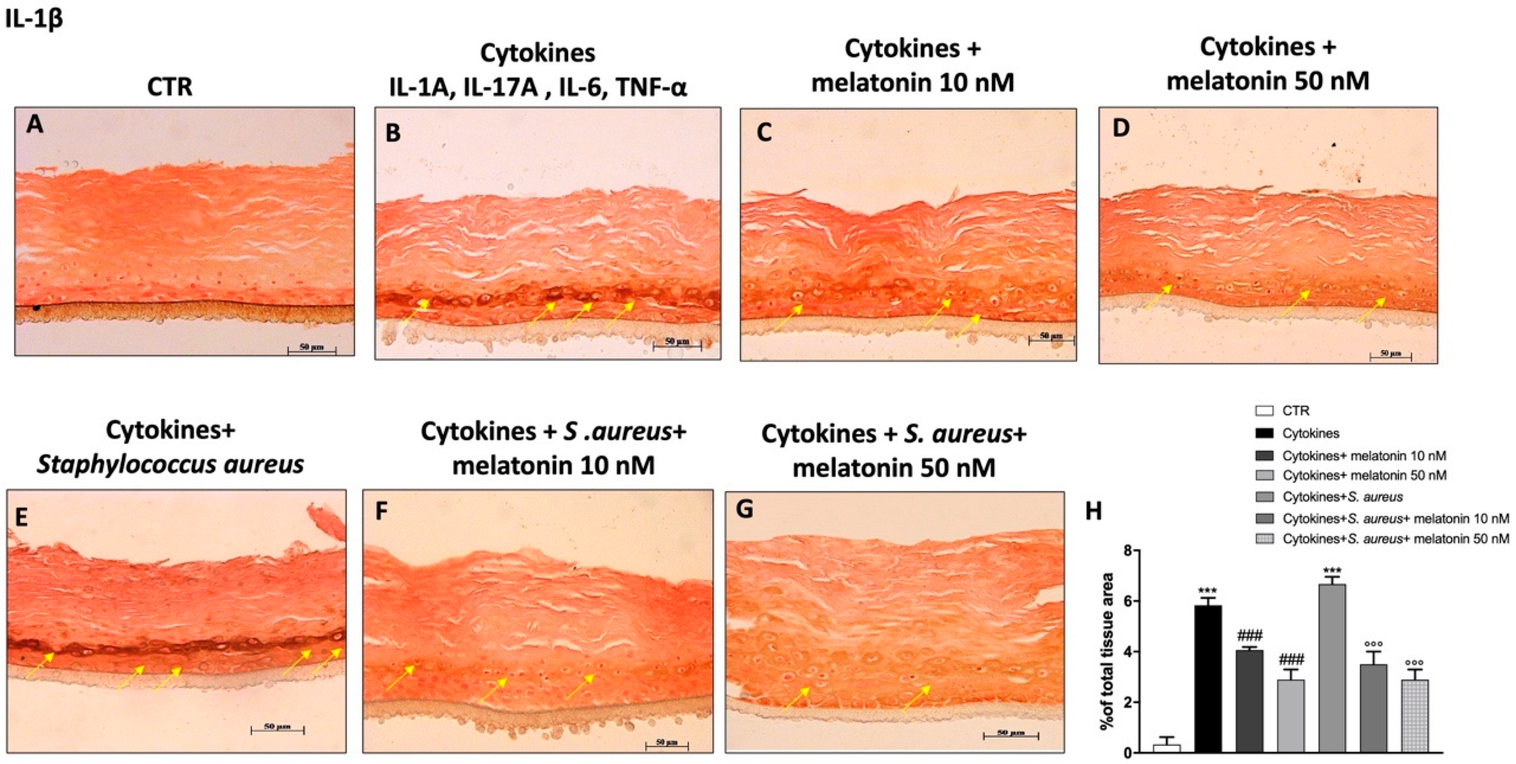 Biomedicines 10 00752 g007 550