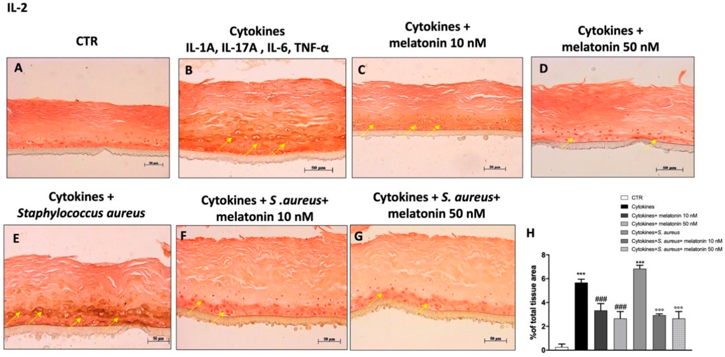 Biomedicines 10 00752 g008 550