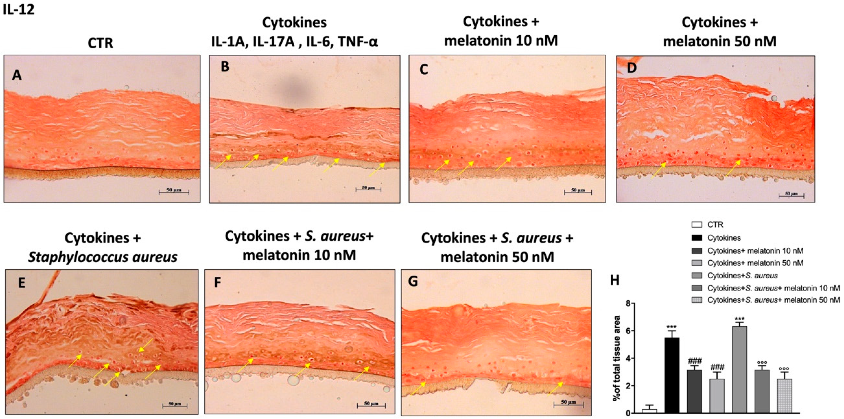 Biomedicines 10 00752 g009 550