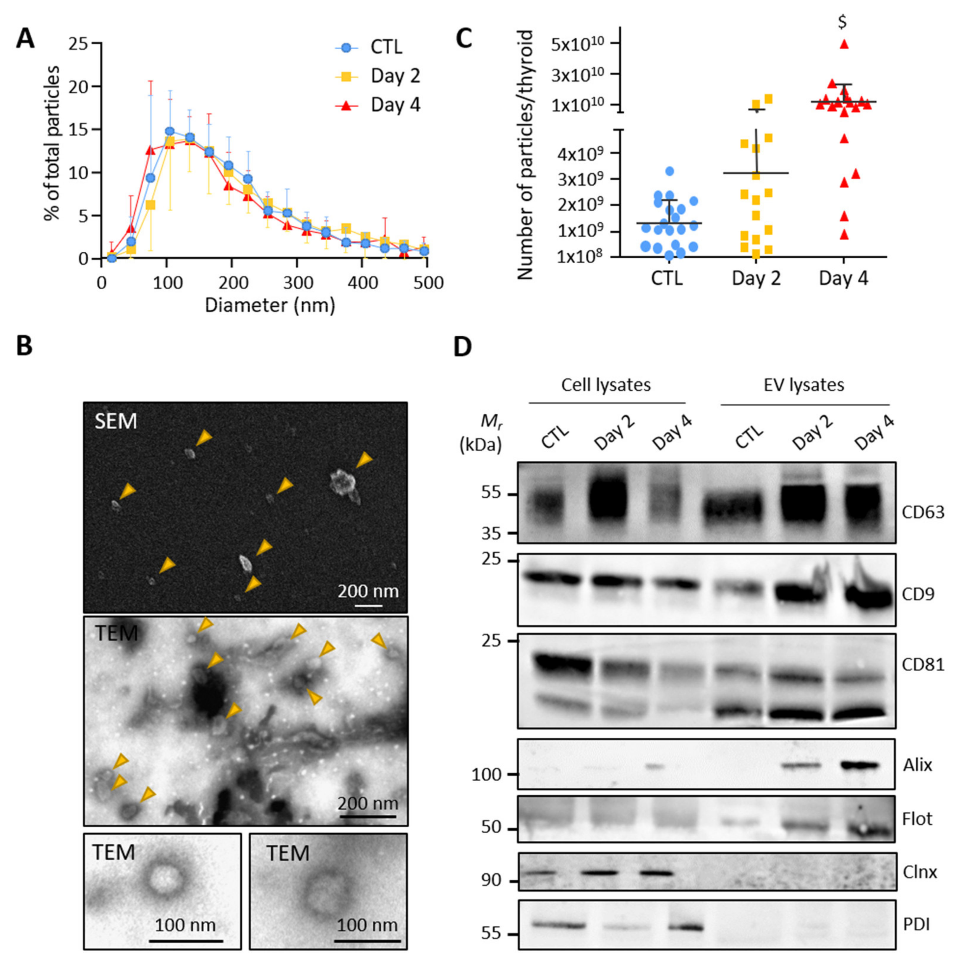 Biomedicines 10 00755 g002