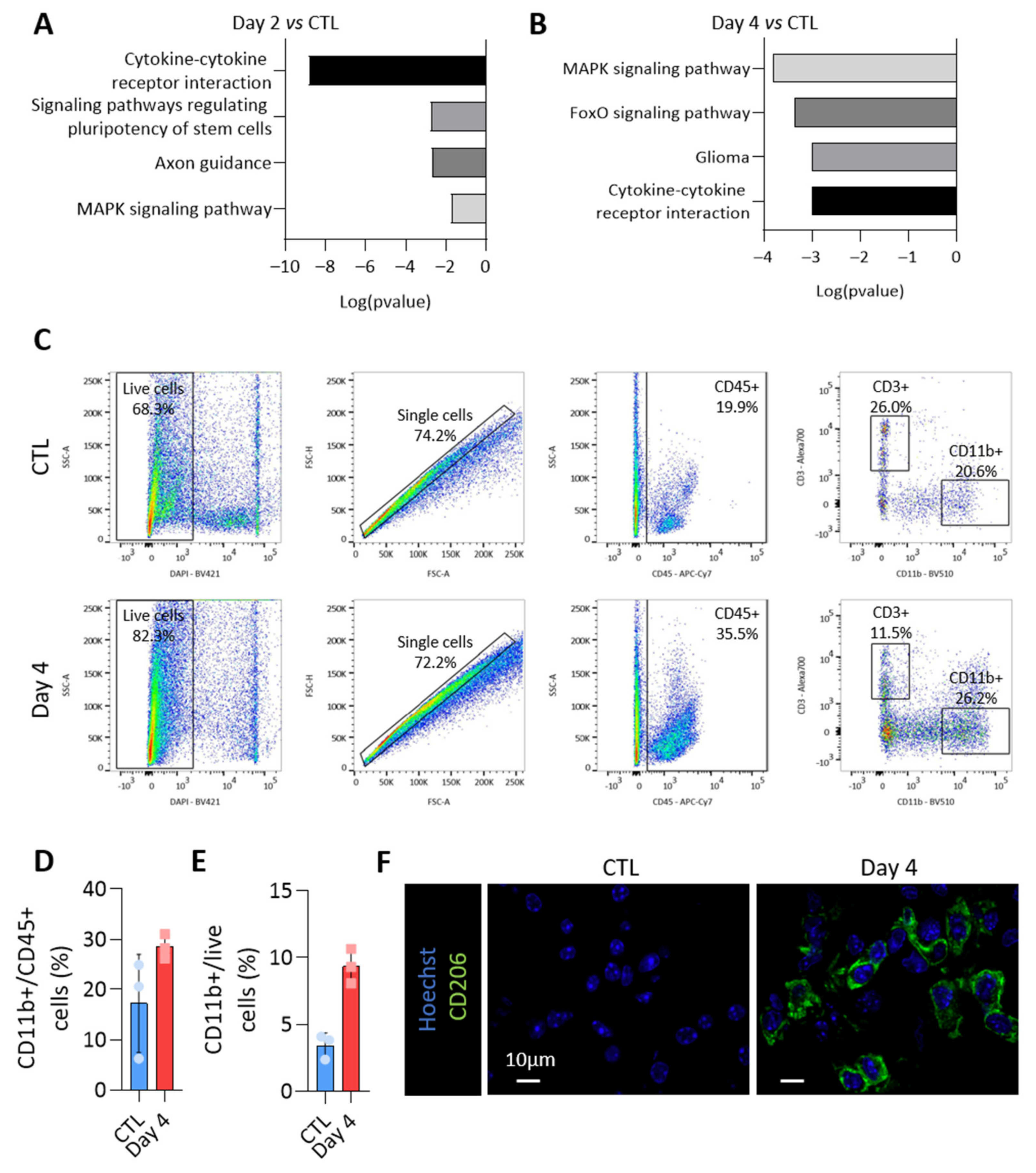 Biomedicines 10 00755 g006