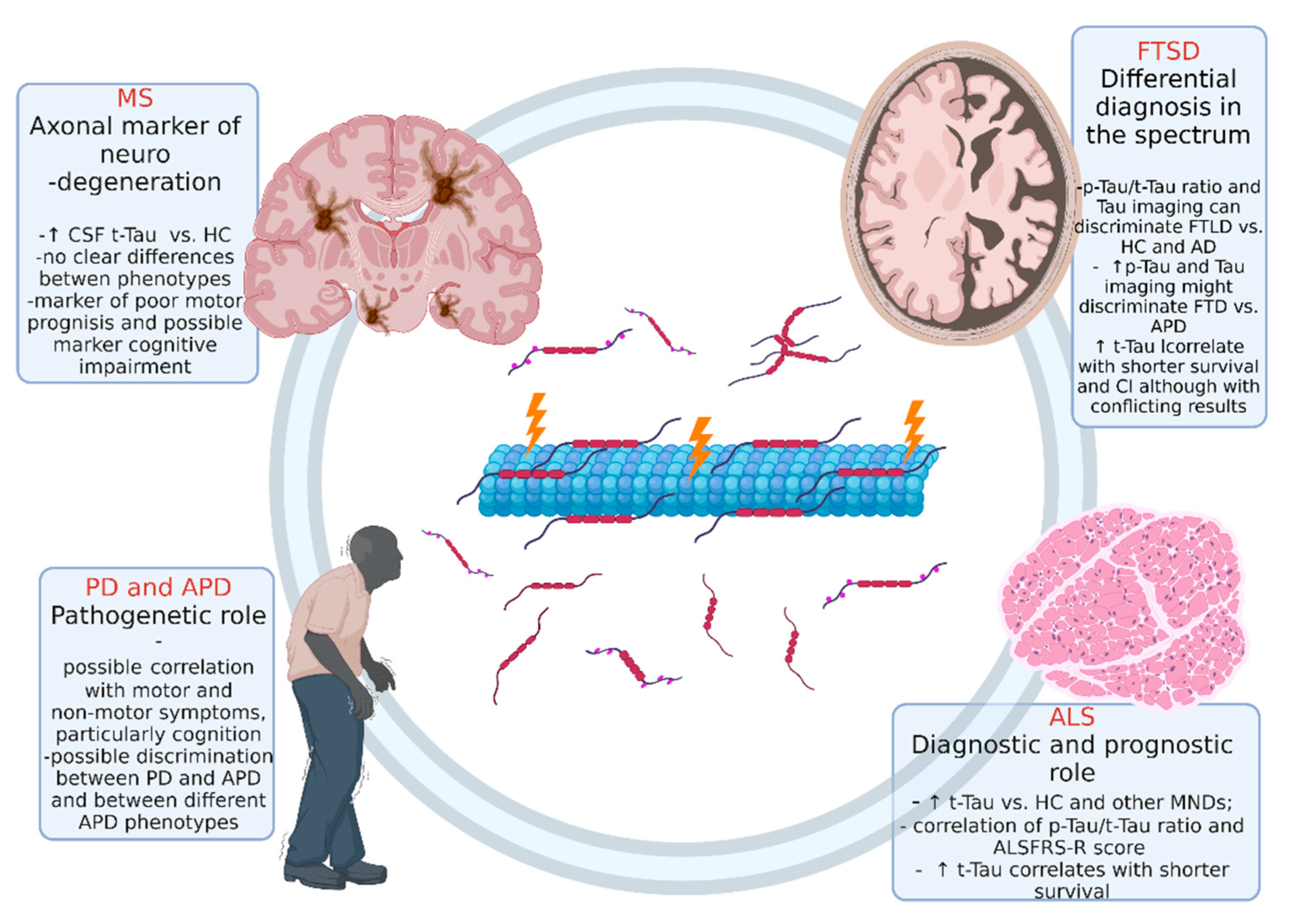 Biomedicines 10 00760 g002