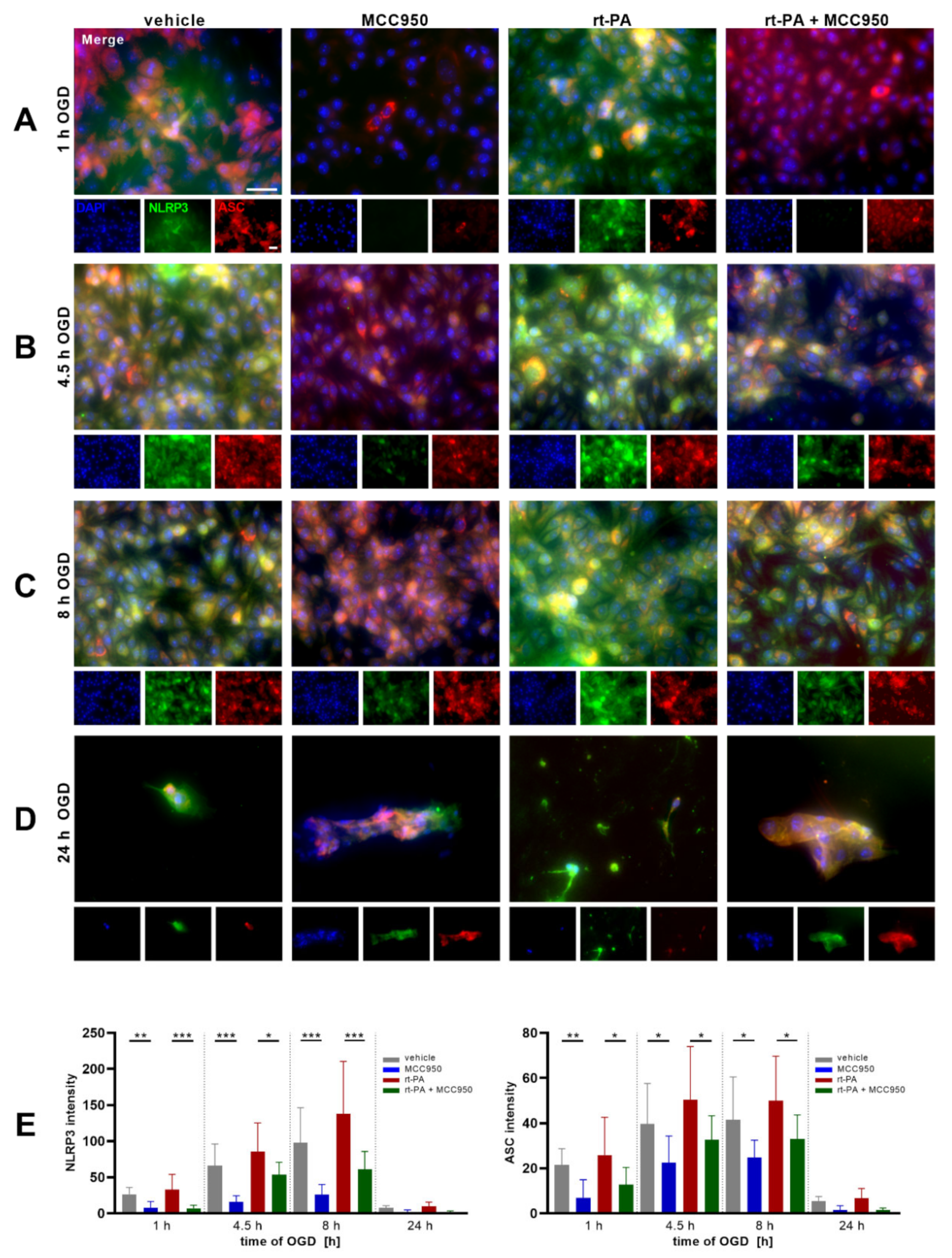 Biomedicines 10 00762 g002 550