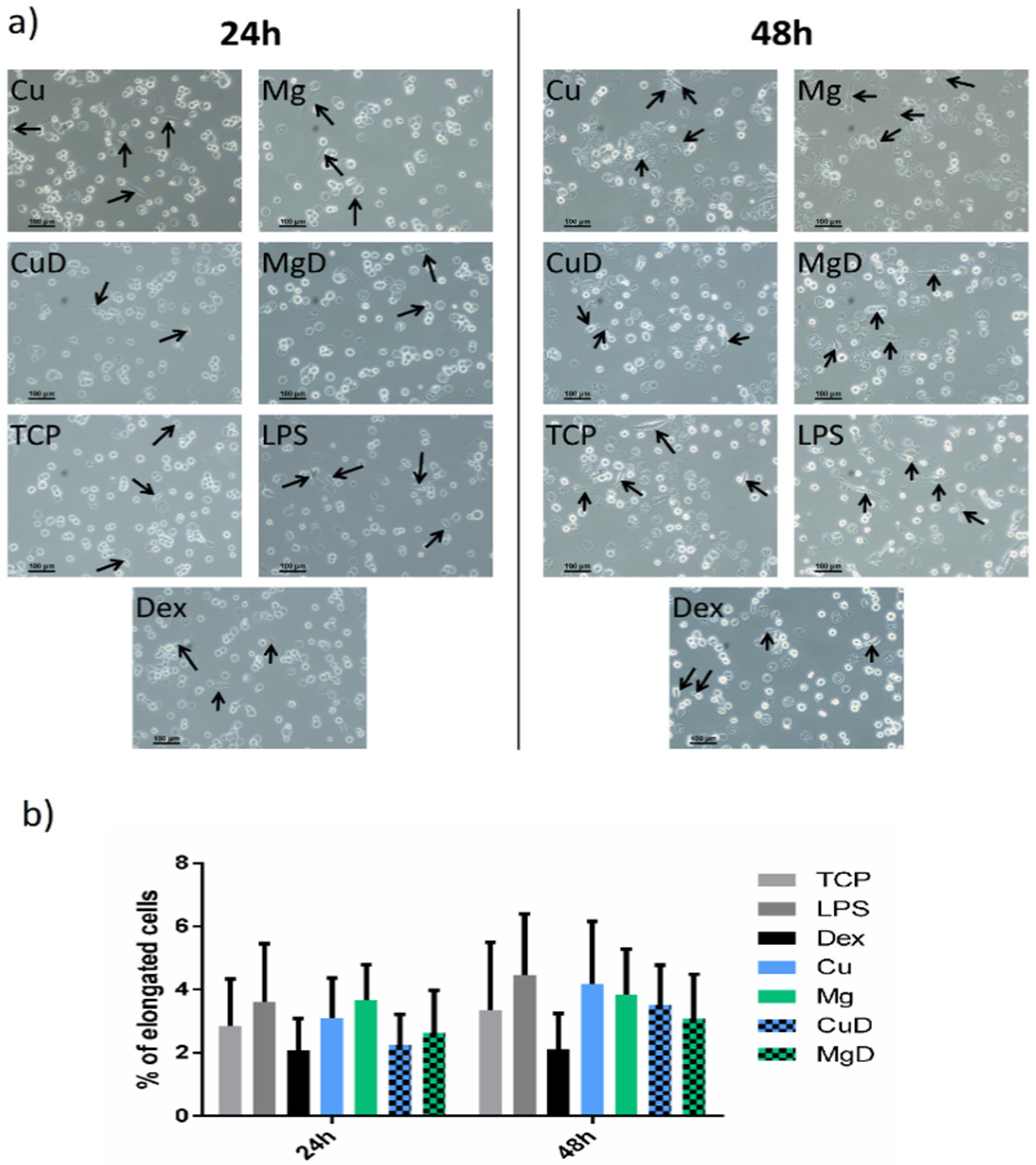 Biomedicines 10 00764 g002