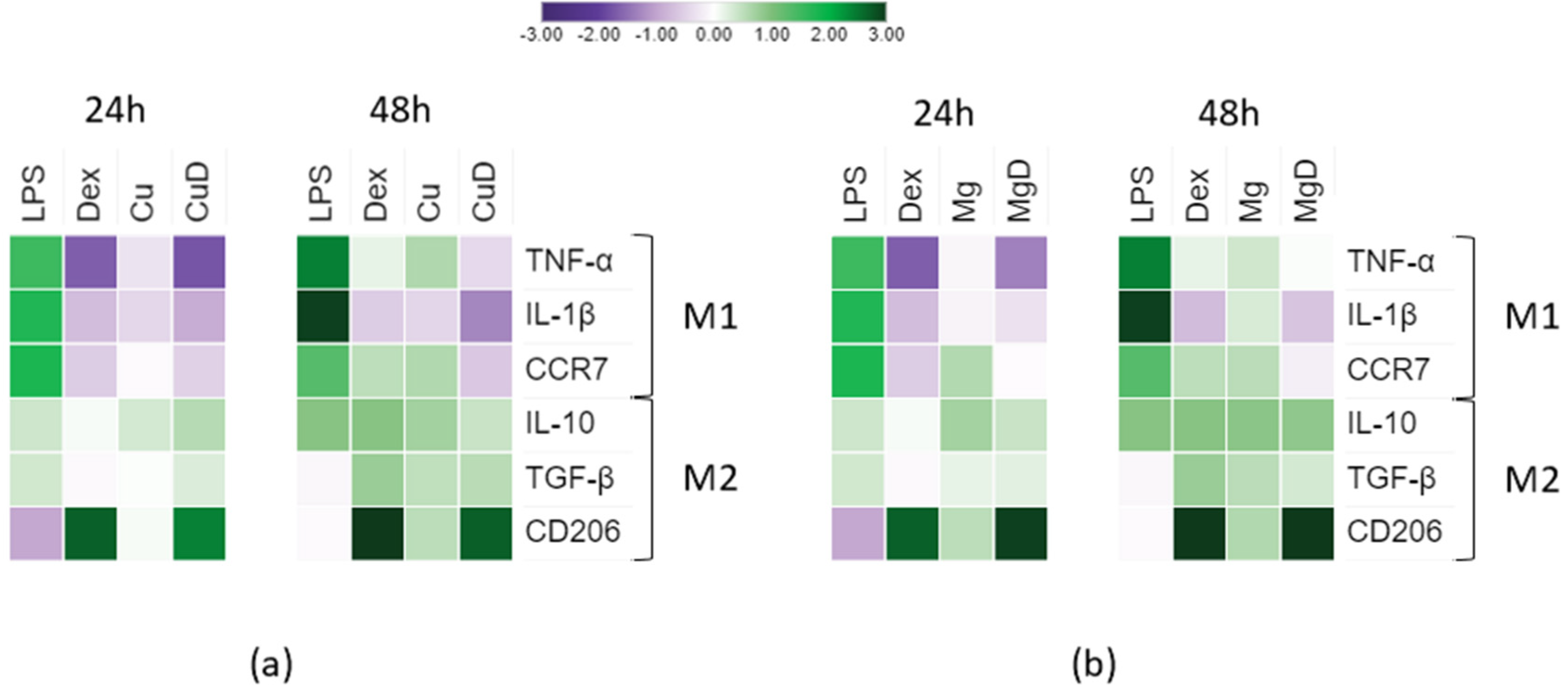 Biomedicines 10 00764 g003