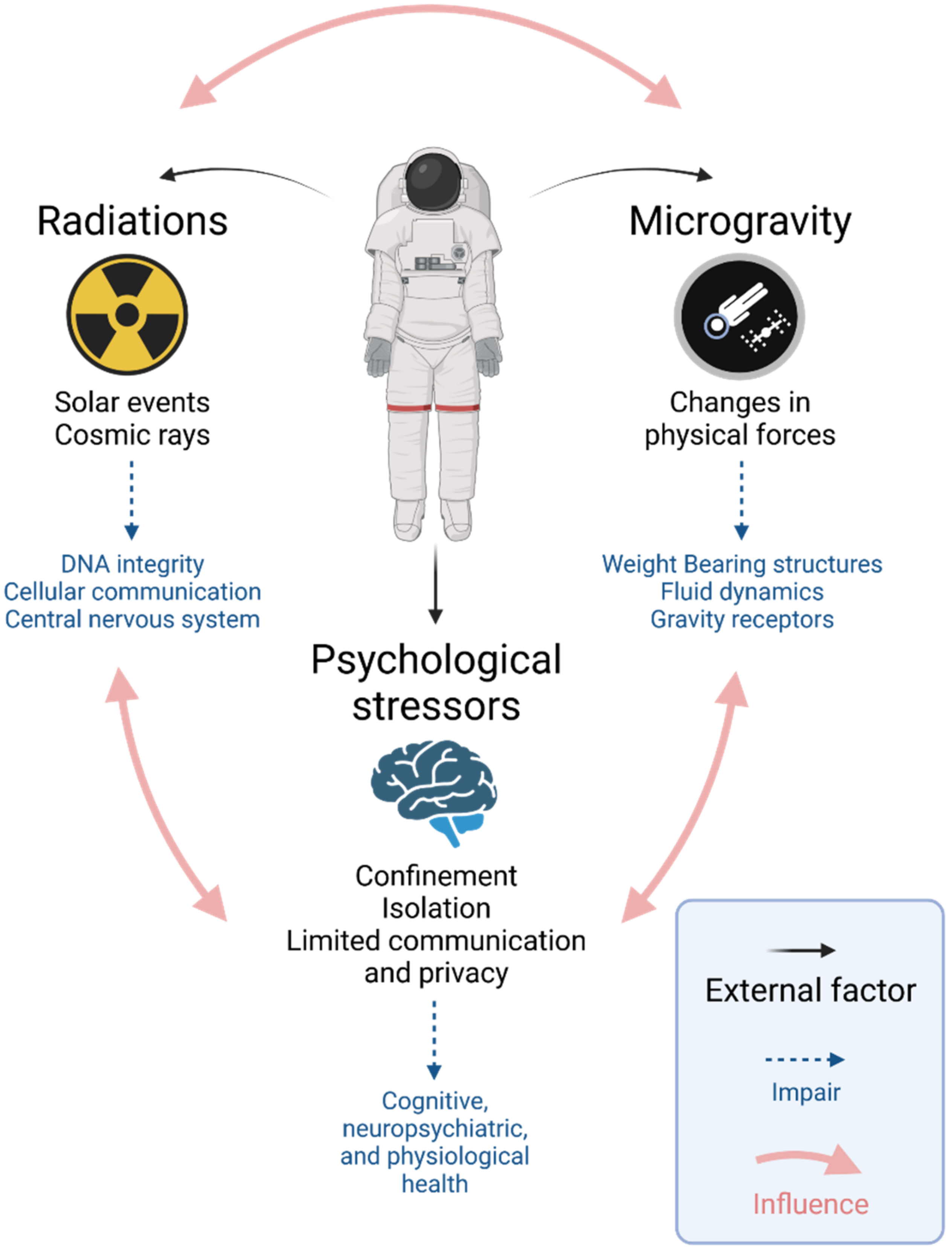 Biomedicines 10 00766 g001