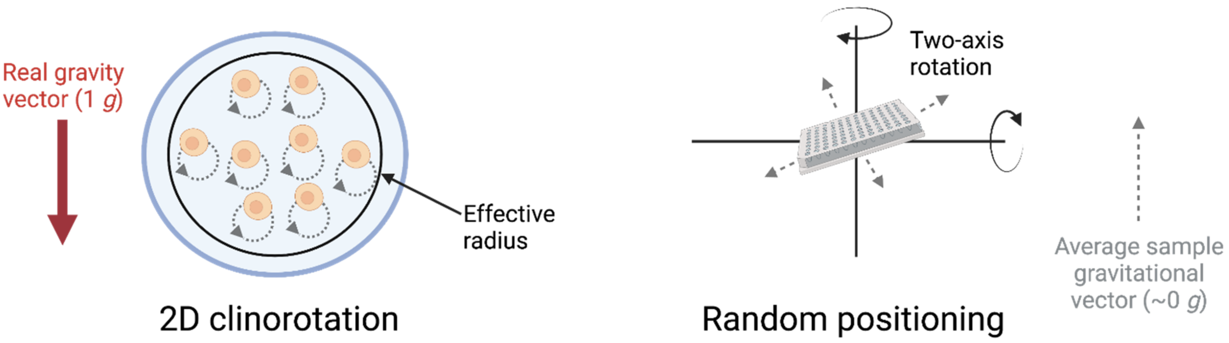 Biomedicines 10 00766 g003
