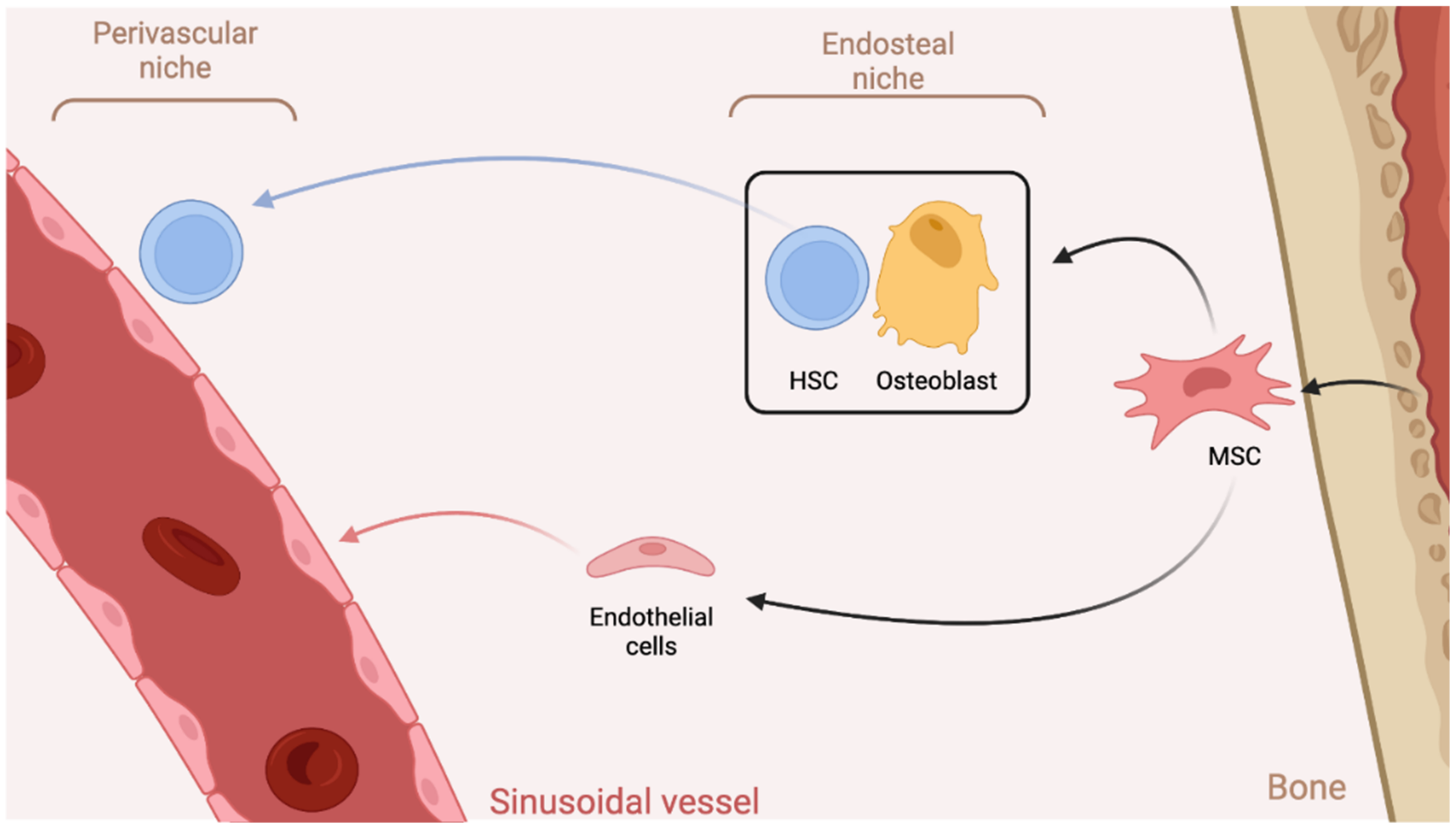 Biomedicines 10 00766 g004