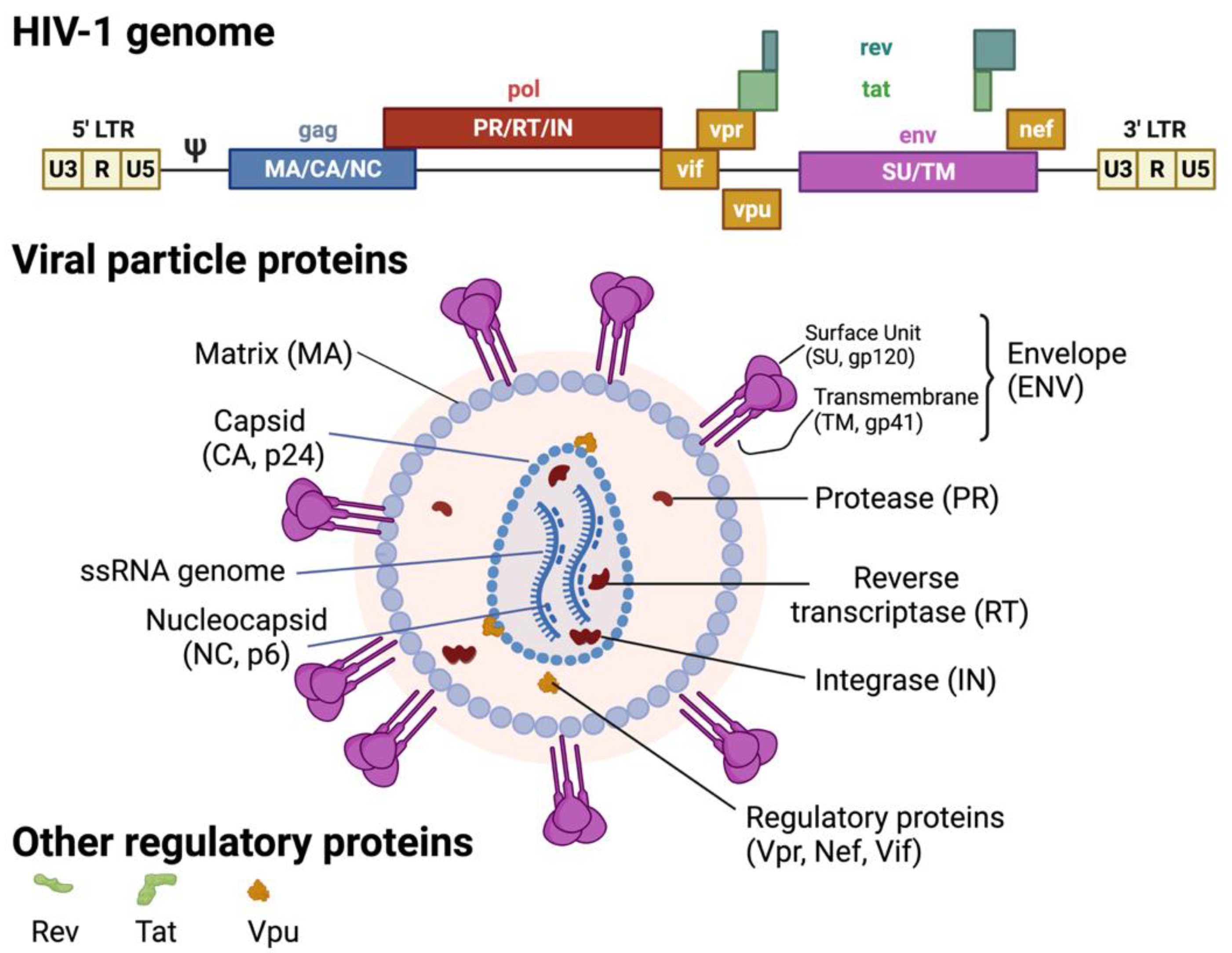 Biomedicines 10 00768 g002 Biomedicines 10 00768 g002