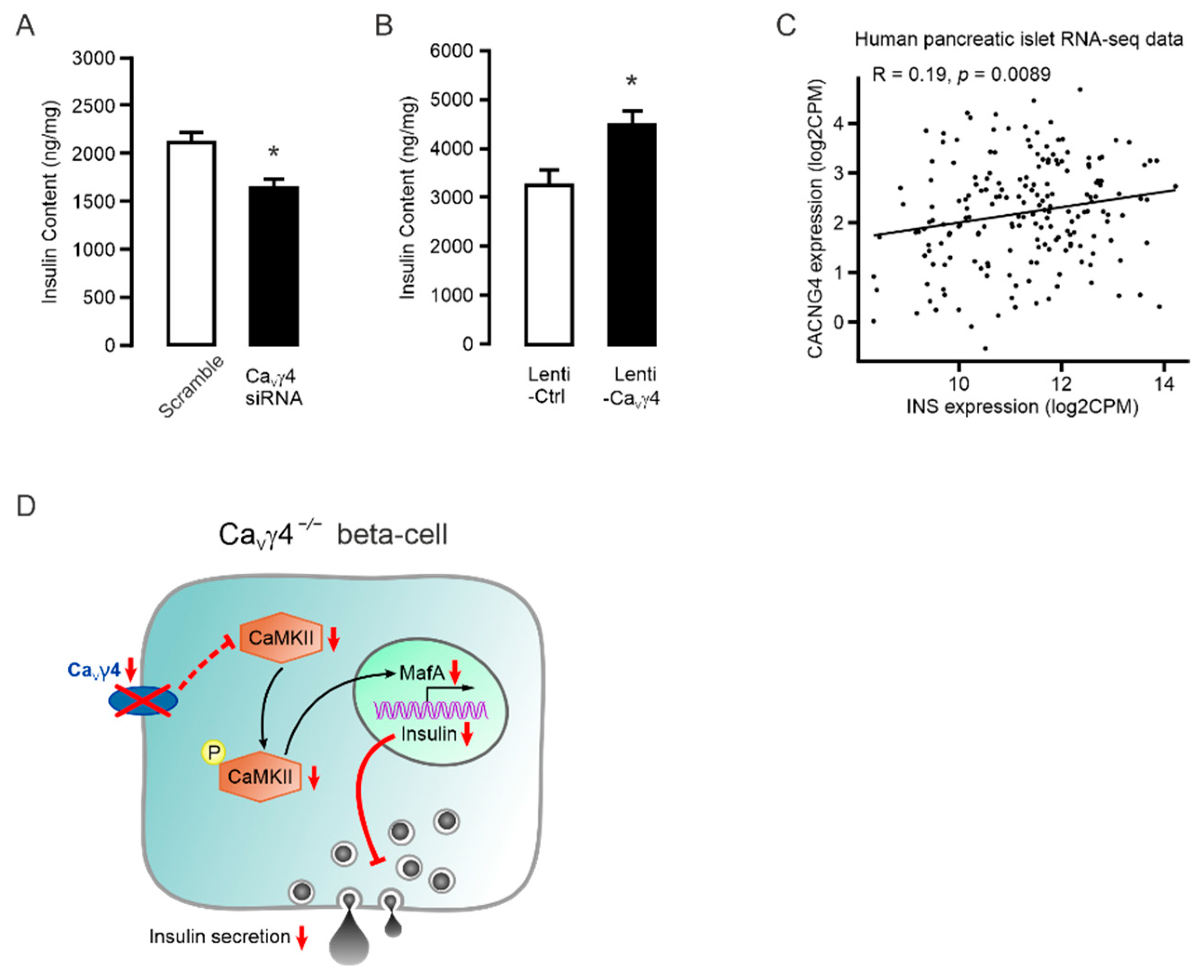 Biomedicines 10 00770 g004