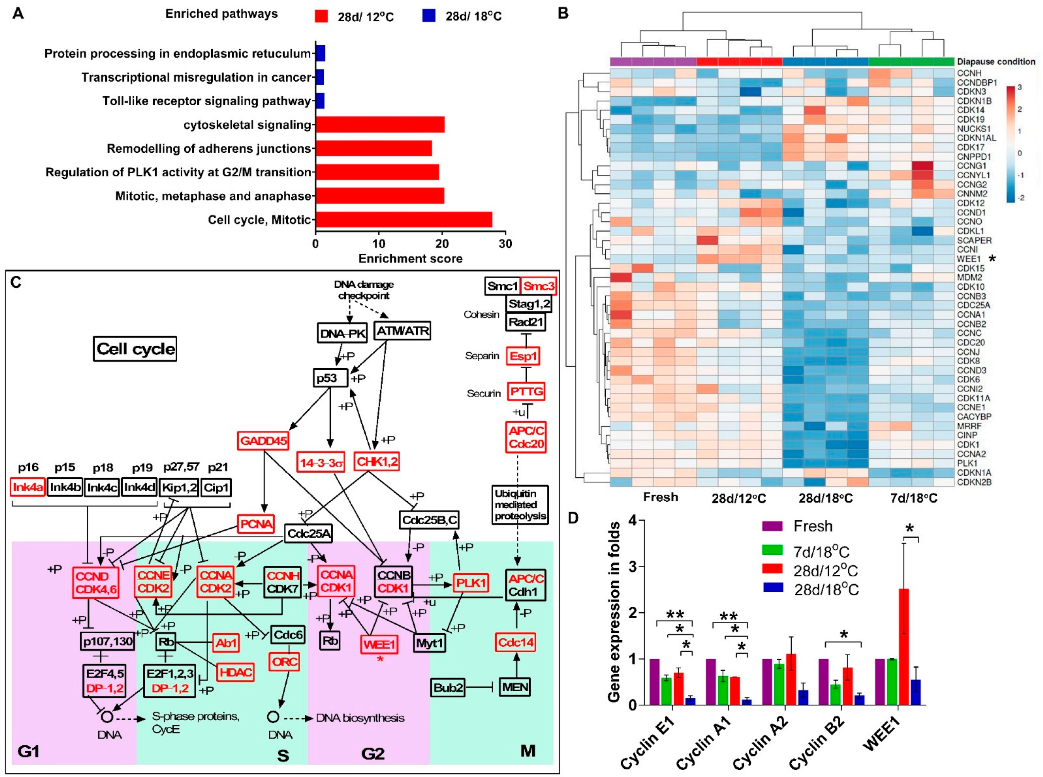 Biomedicines 10 00779 g004