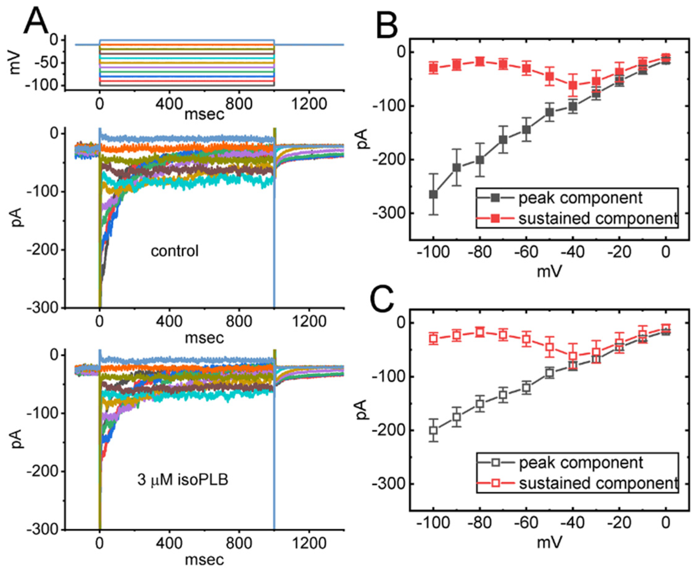 Biomedicines 10 00780 g002 550