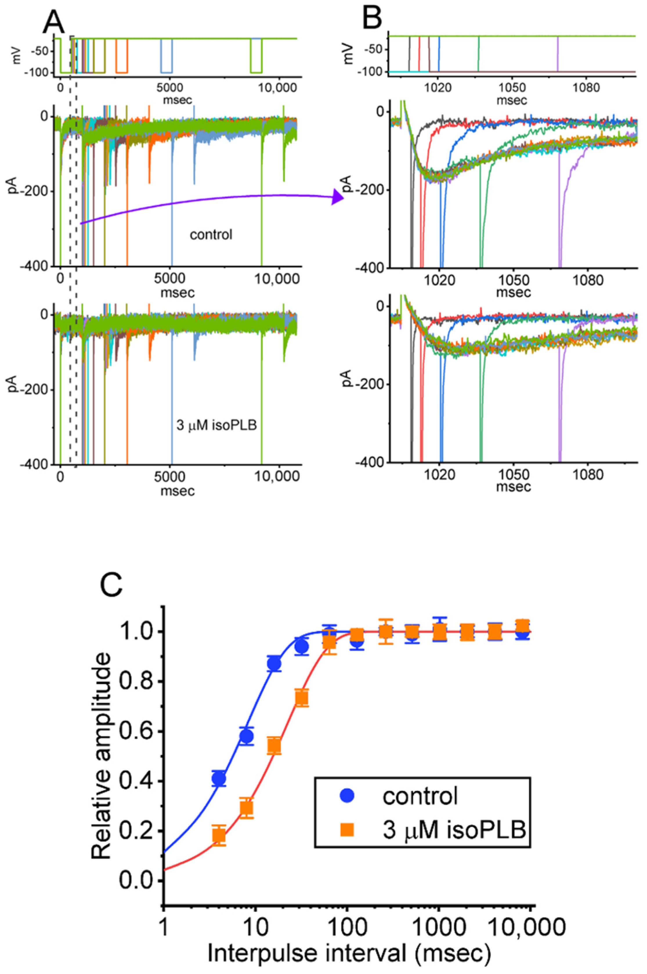 Biomedicines 10 00780 g004 550