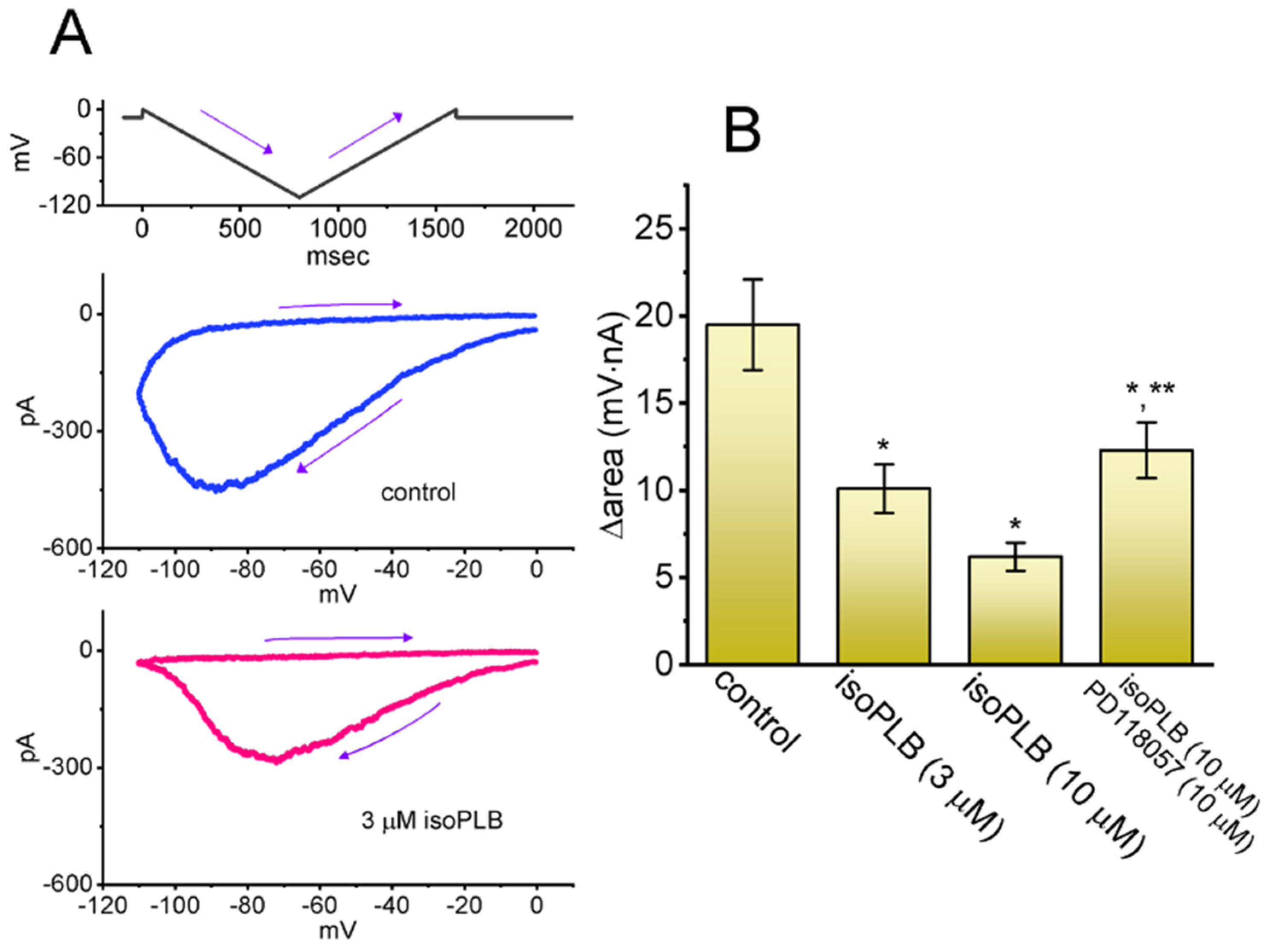Biomedicines 10 00780 g006 550