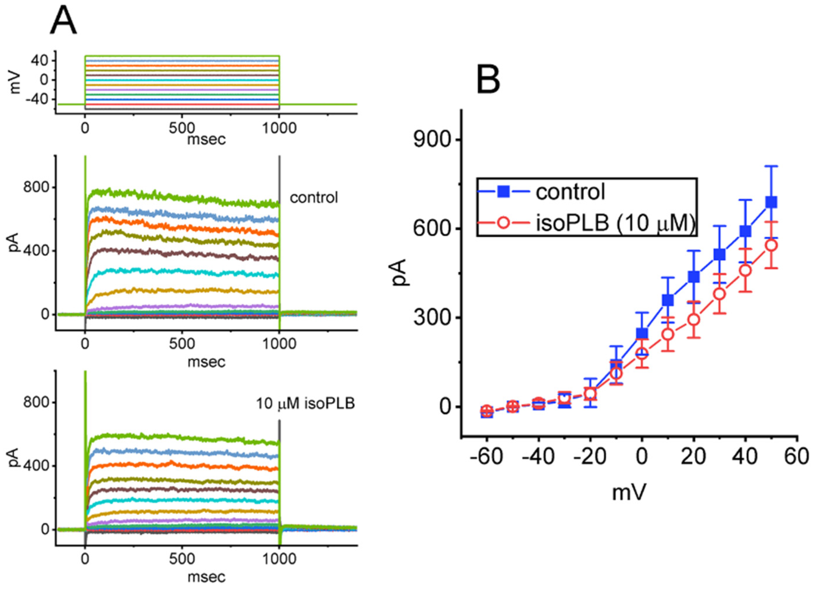 Biomedicines 10 00780 g007 550