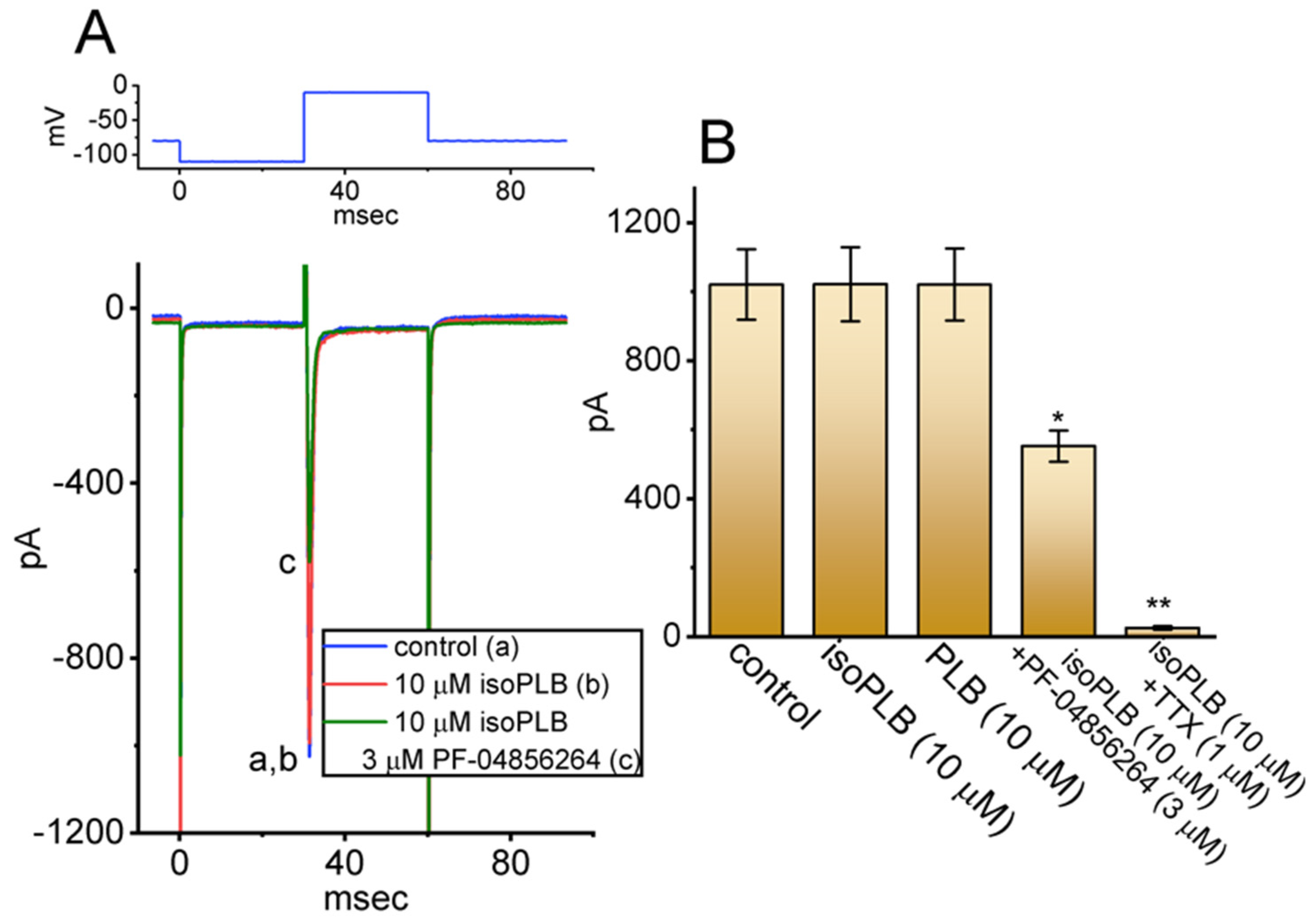 Biomedicines 10 00780 g008 550