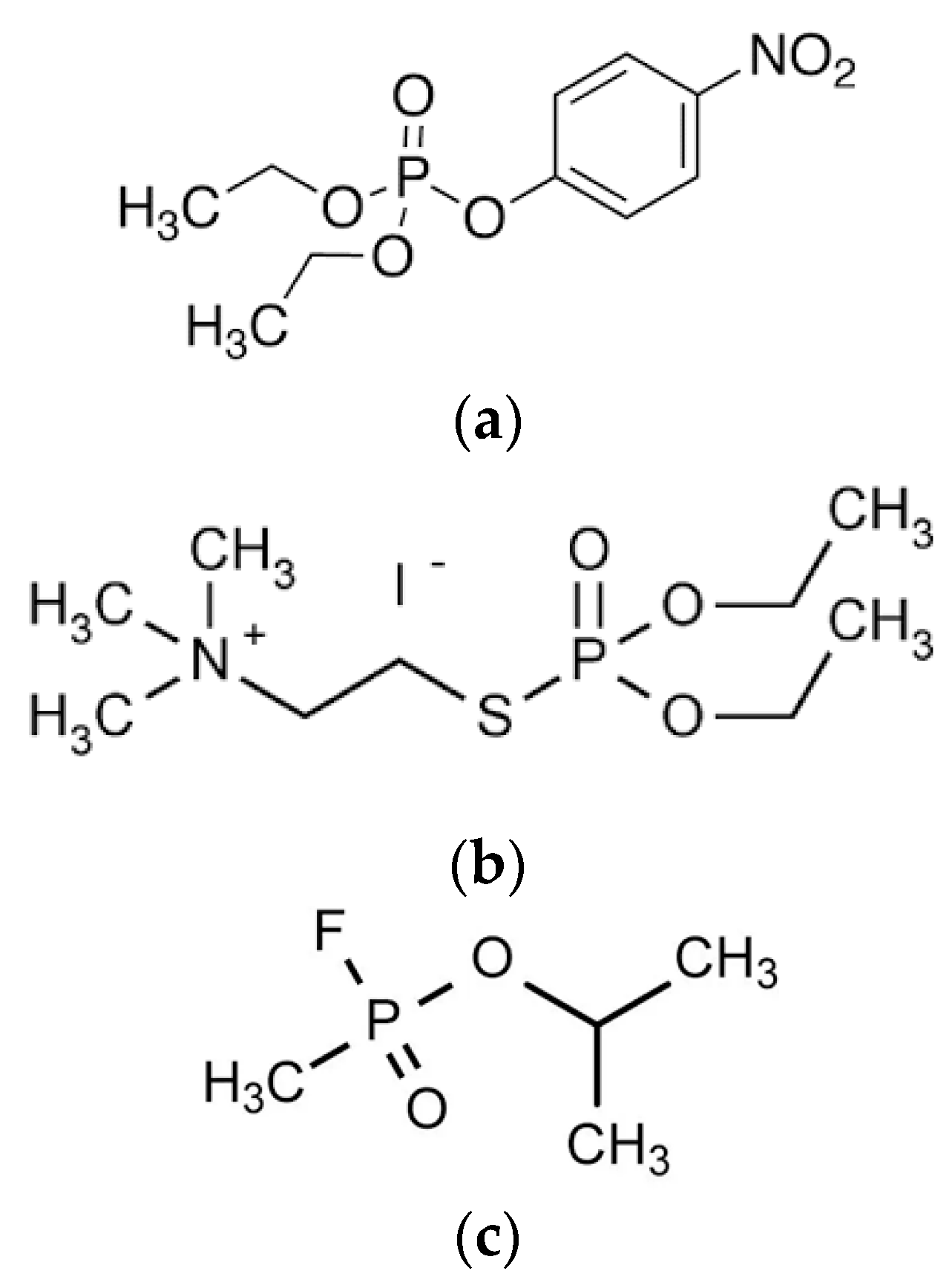 Biomedicines 10 00784 g001