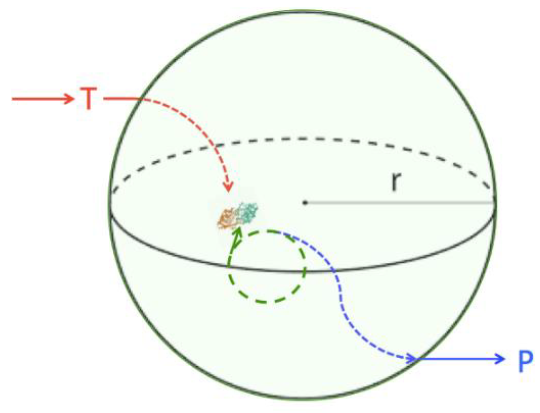 Biomedicines 10 00784 g003