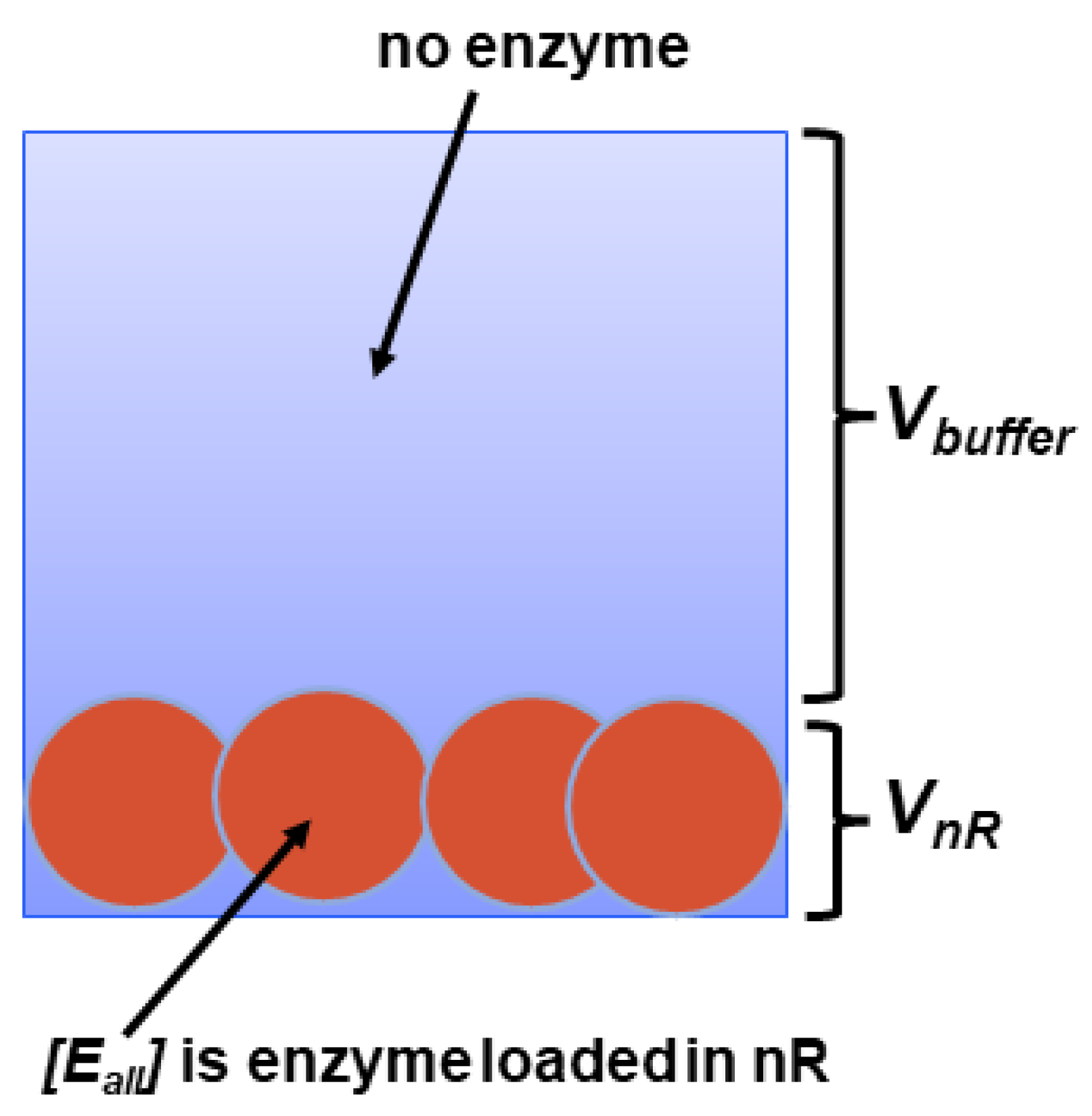 Biomedicines 10 00784 g004