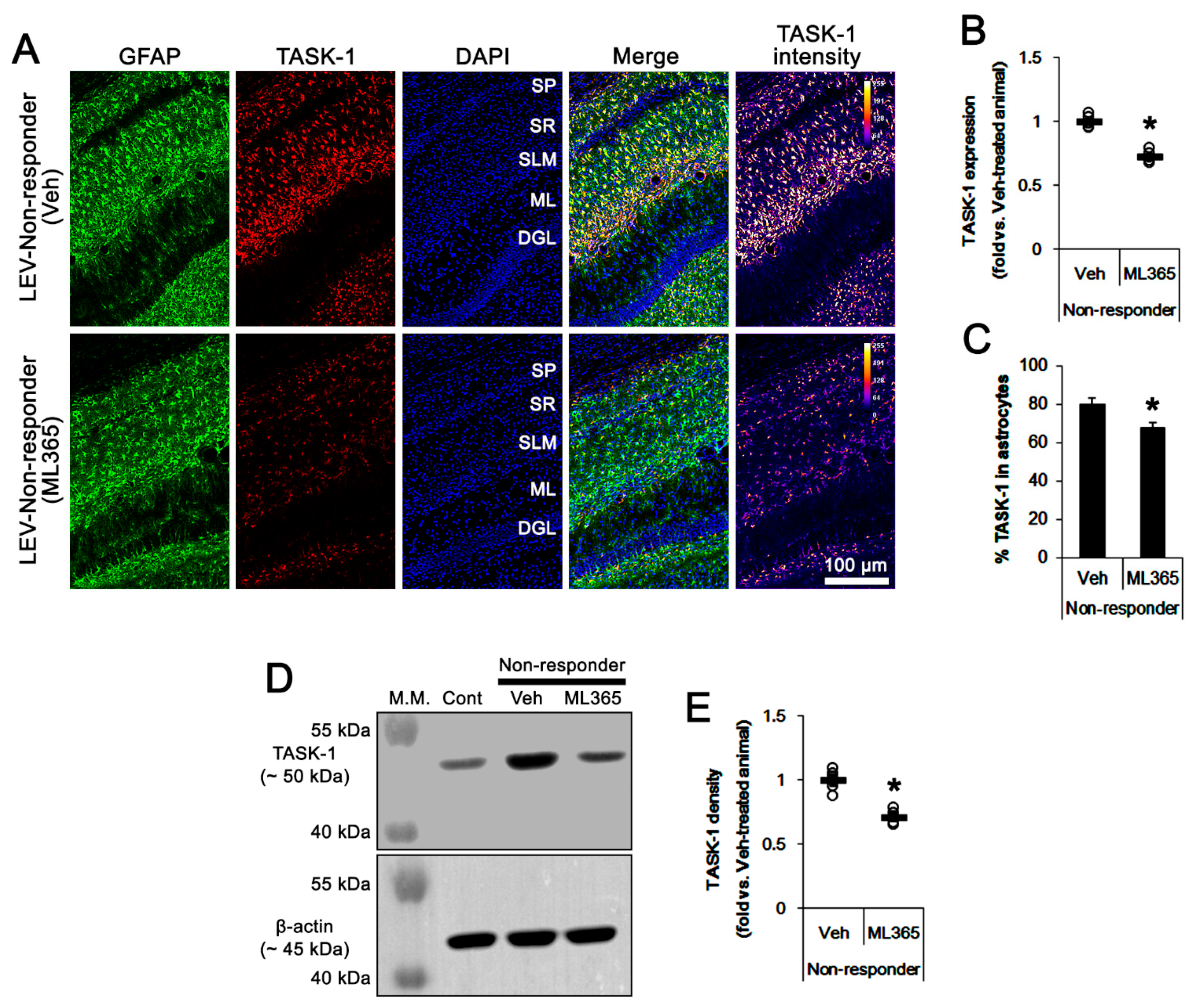 Biomedicines 10 00787 g005