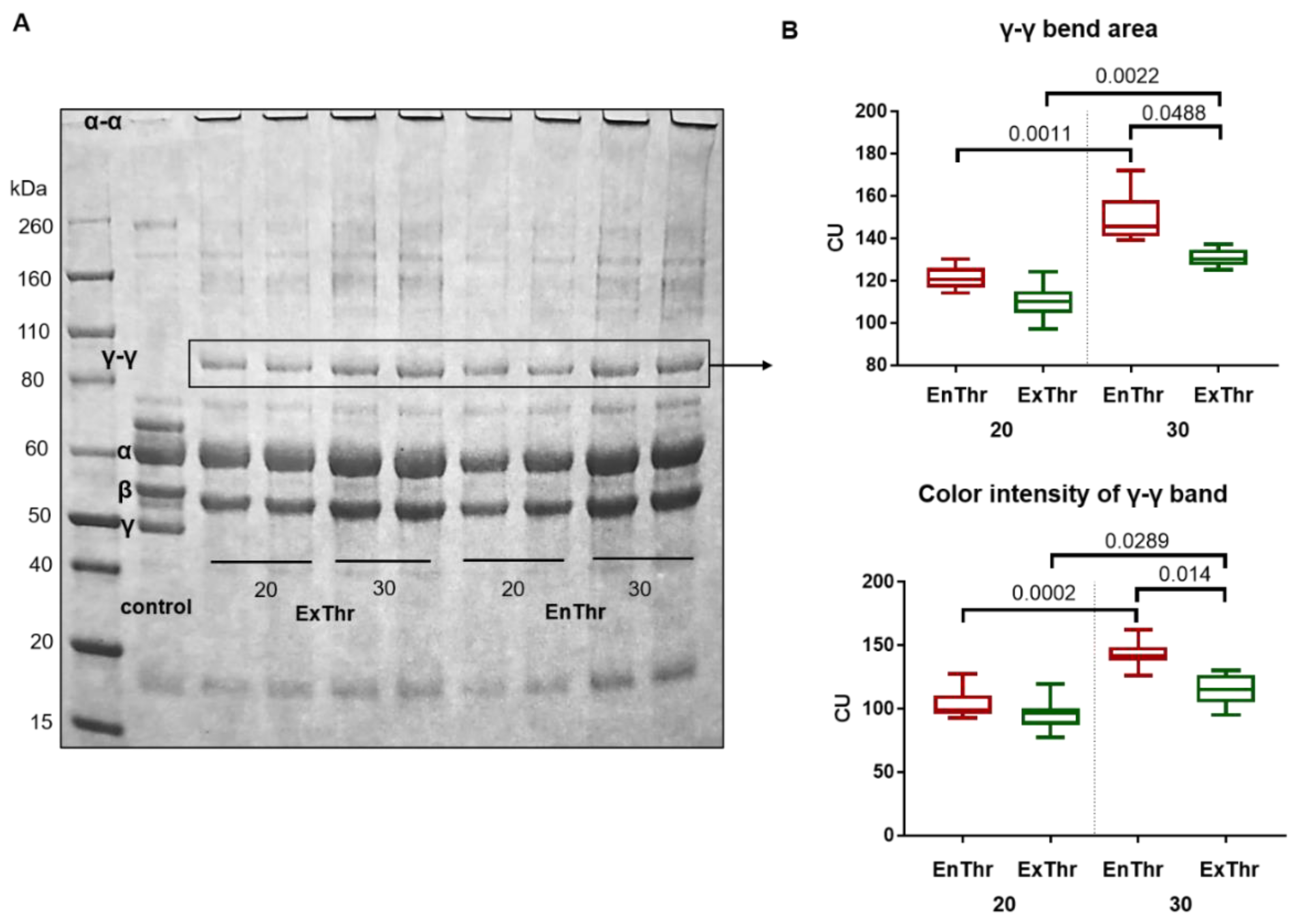 Biomedicines 10 00789 g003