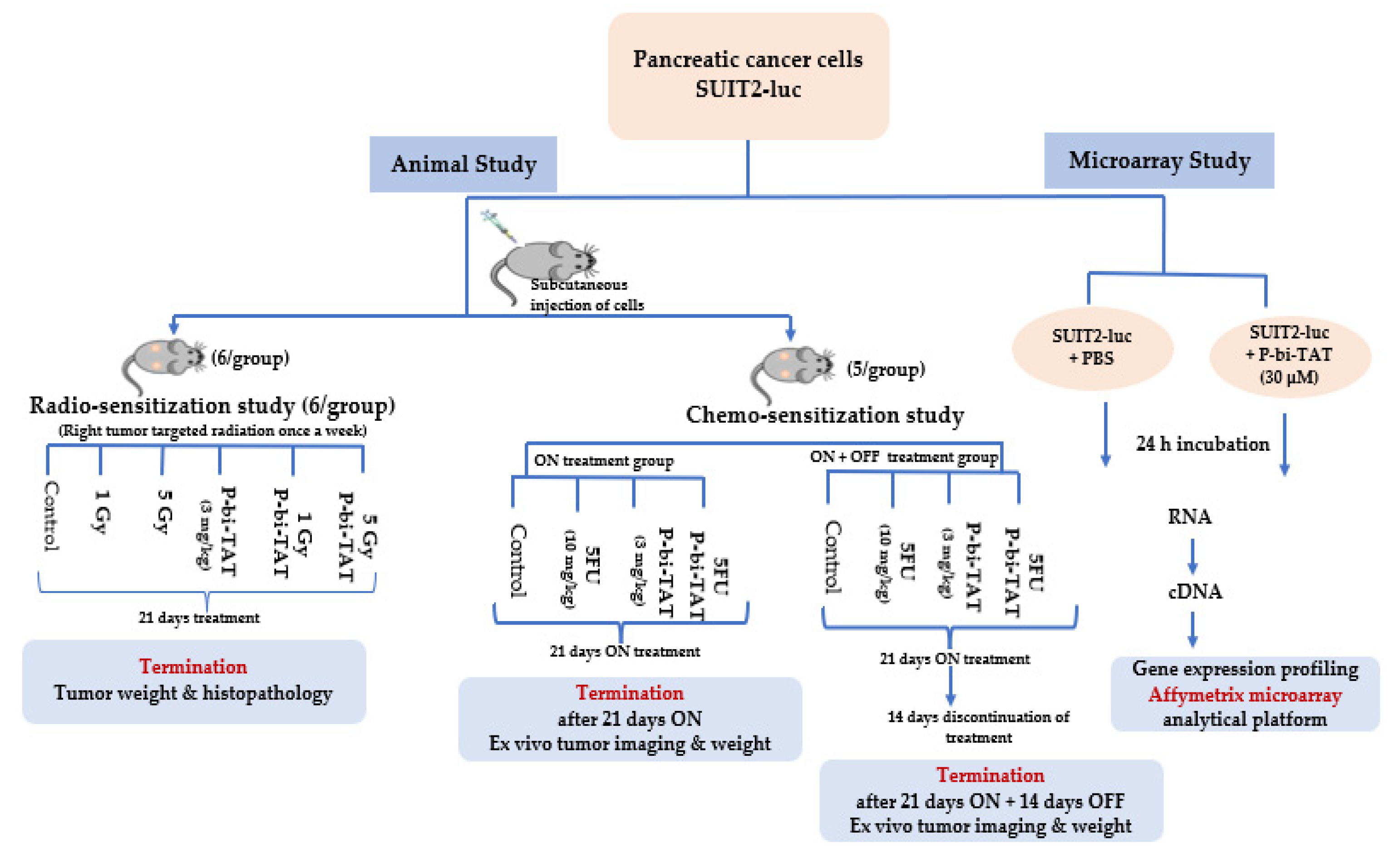 Biomedicines 10 00795 g001 Biomedicines 10 00795 g001