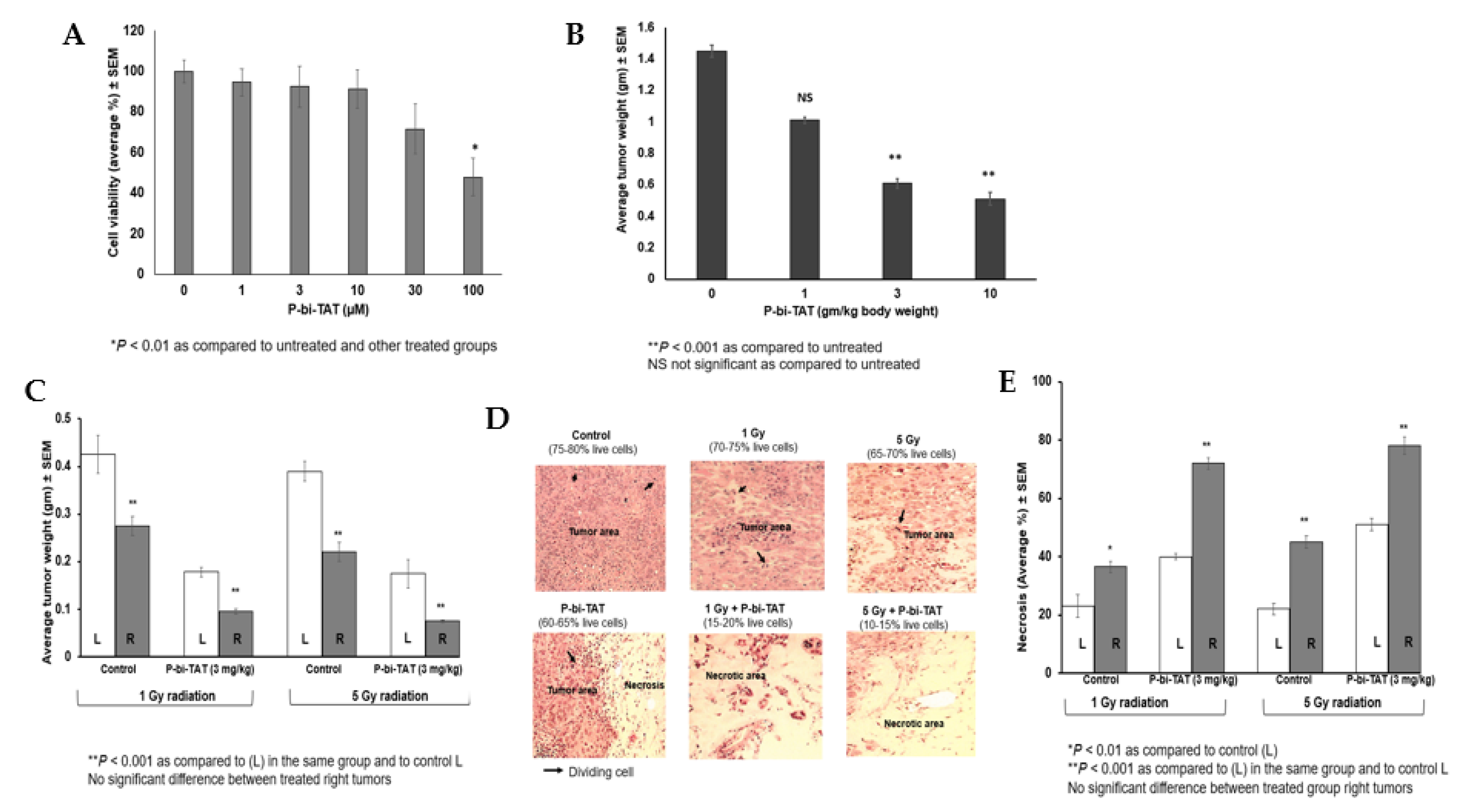 Biomedicines 10 00795 g002 Biomedicines 10 00795 g002