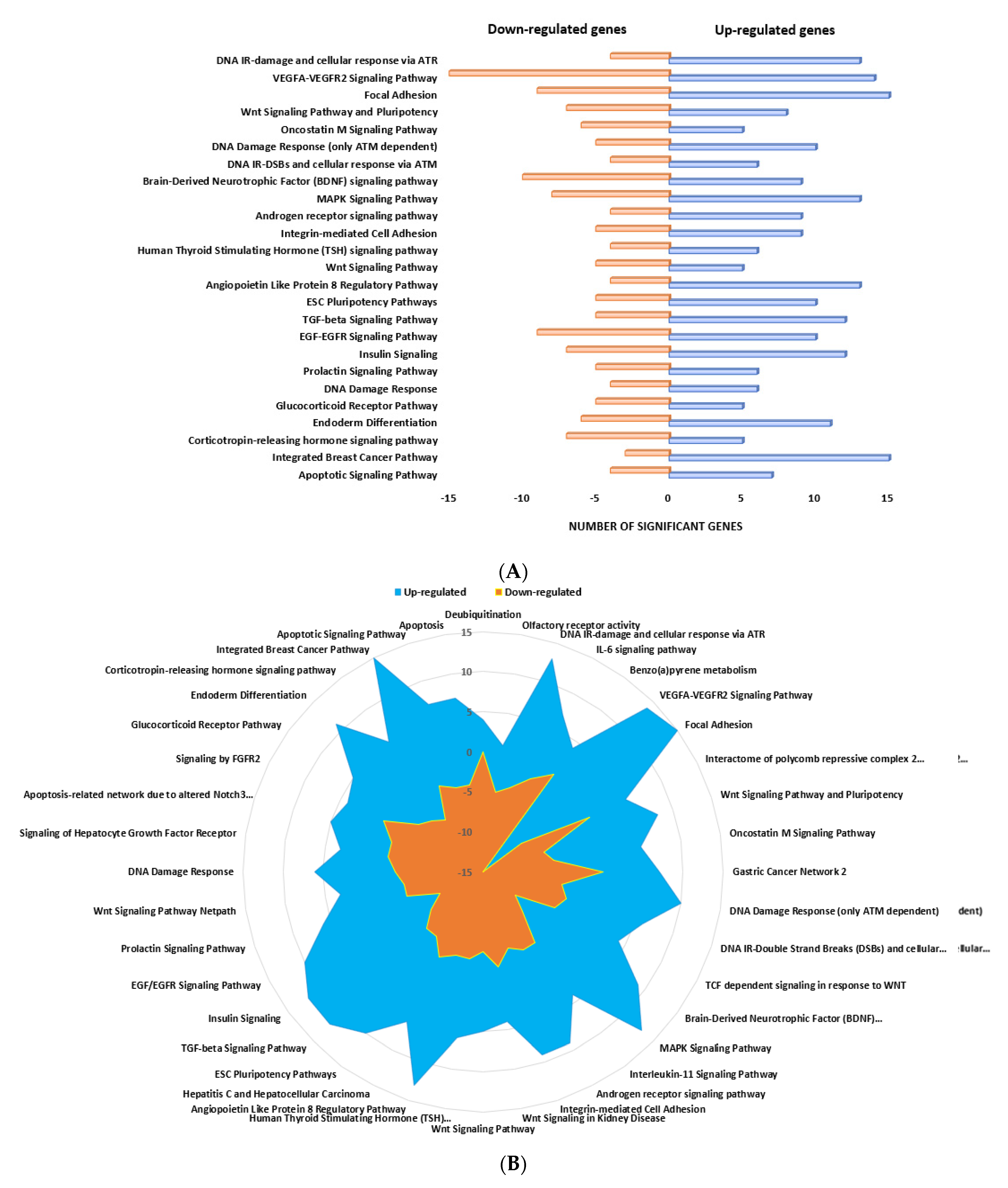 Biomedicines 10 00795 g004a Biomedicines 10 00795 g004a