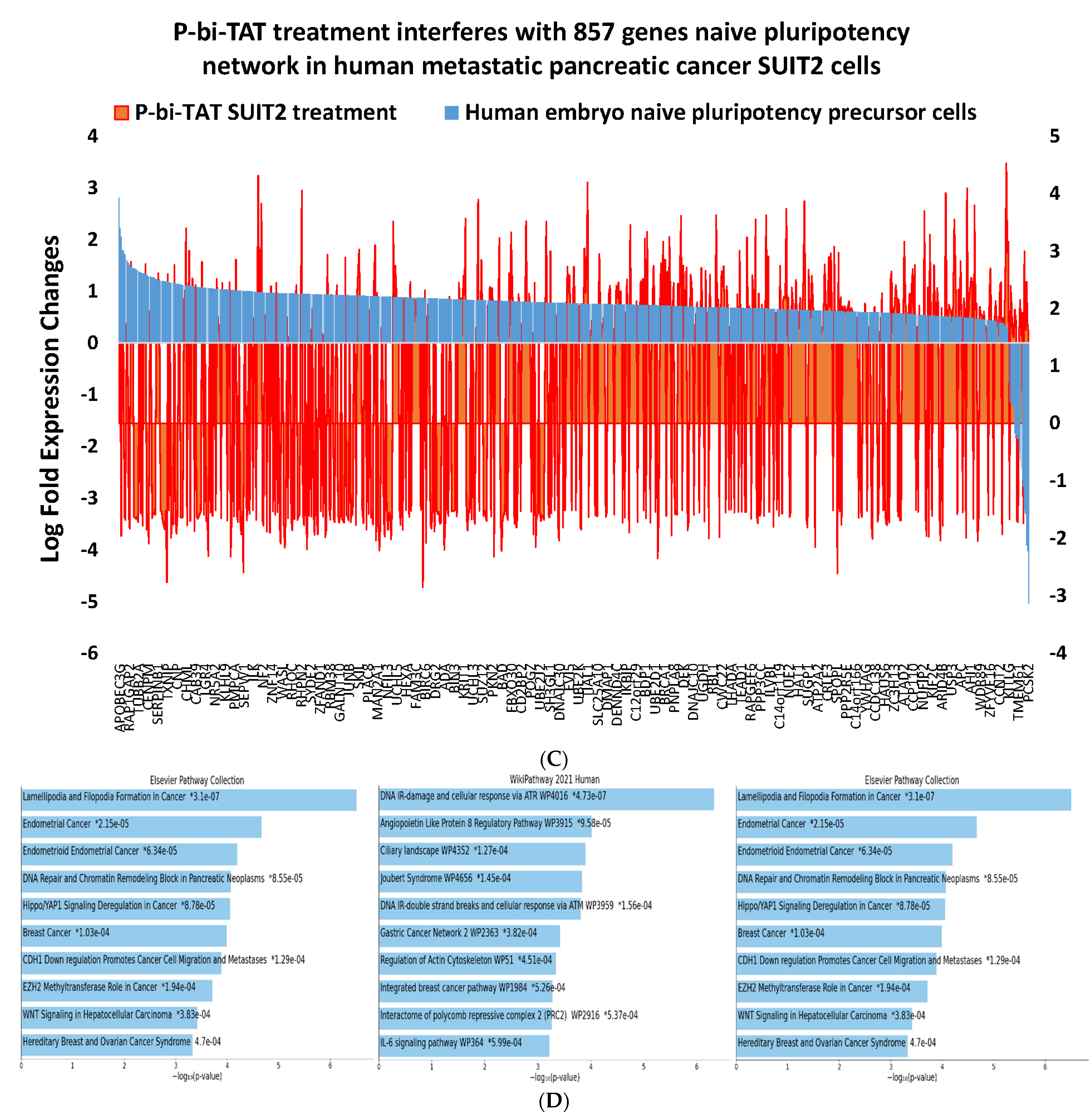 Biomedicines 10 00795 g004b Biomedicines 10 00795 g004b