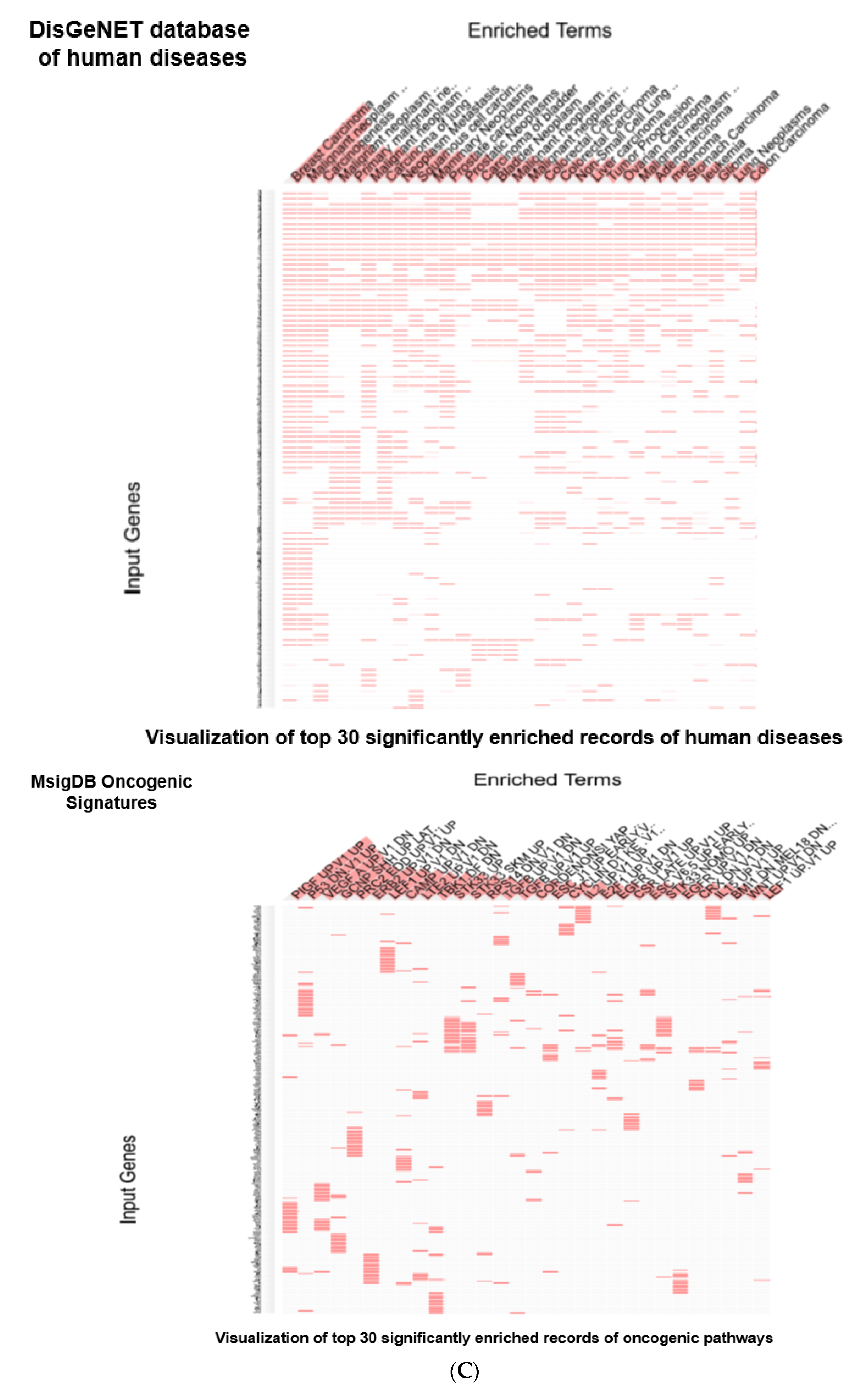 Biomedicines 10 00795 g005c Biomedicines 10 00795 g005c
