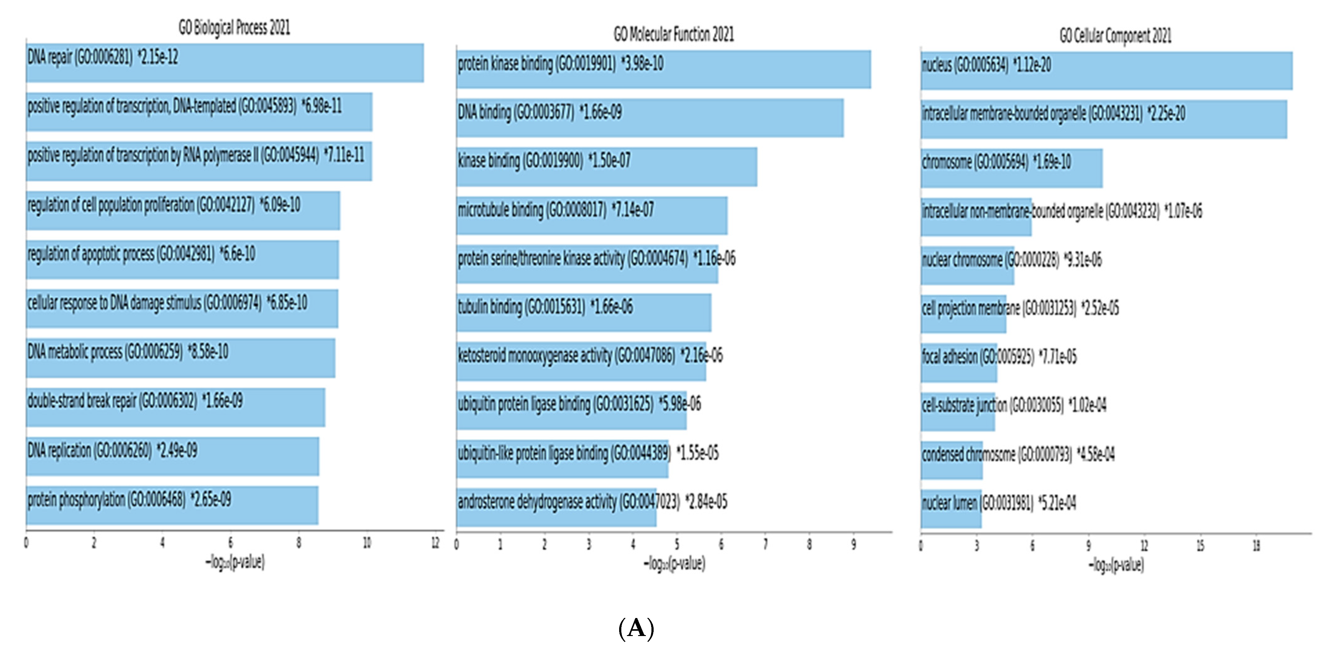 Biomedicines 10 00795 g006a Biomedicines 10 00795 g006a