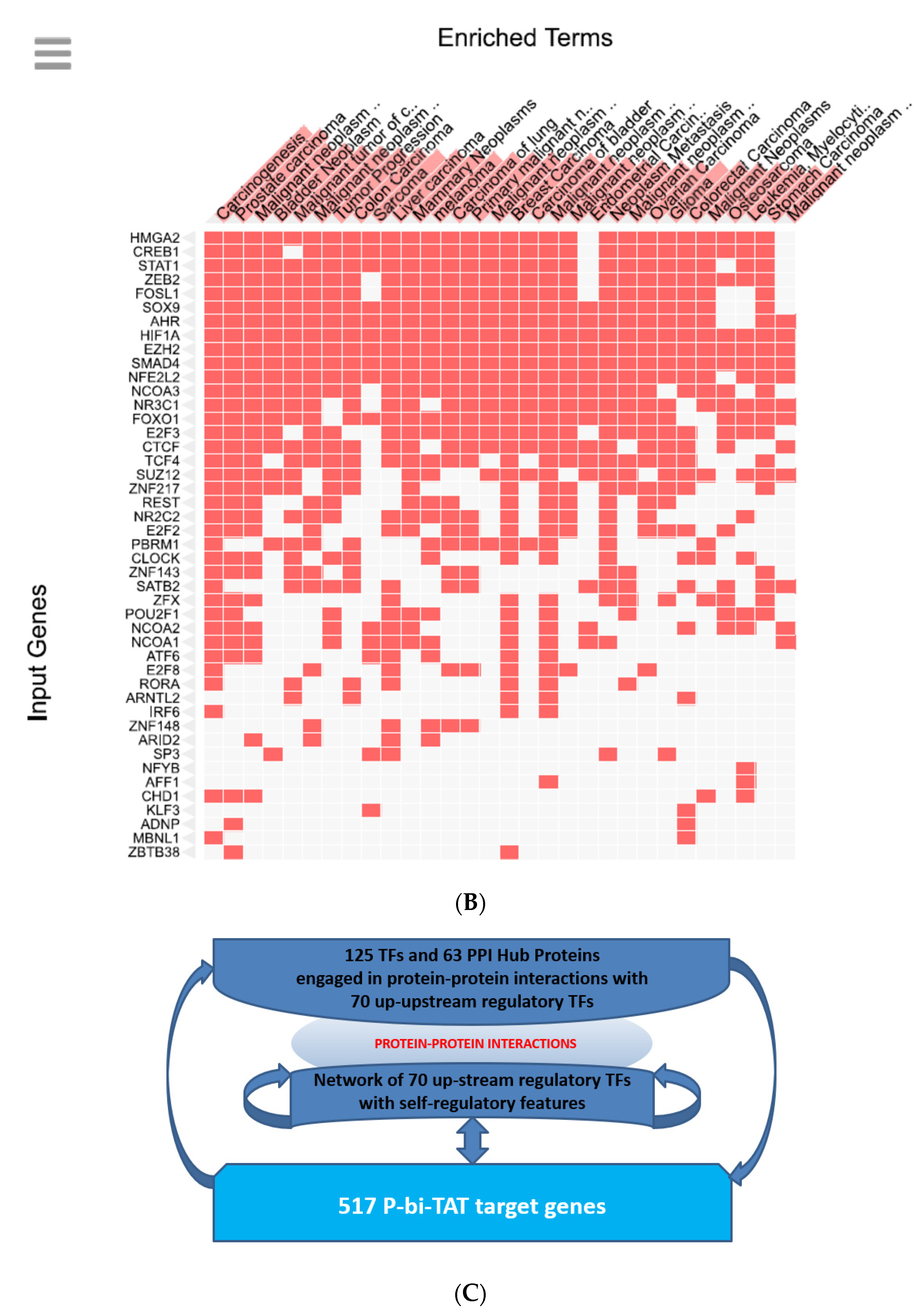 Biomedicines 10 00795 g006b Biomedicines 10 00795 g006b