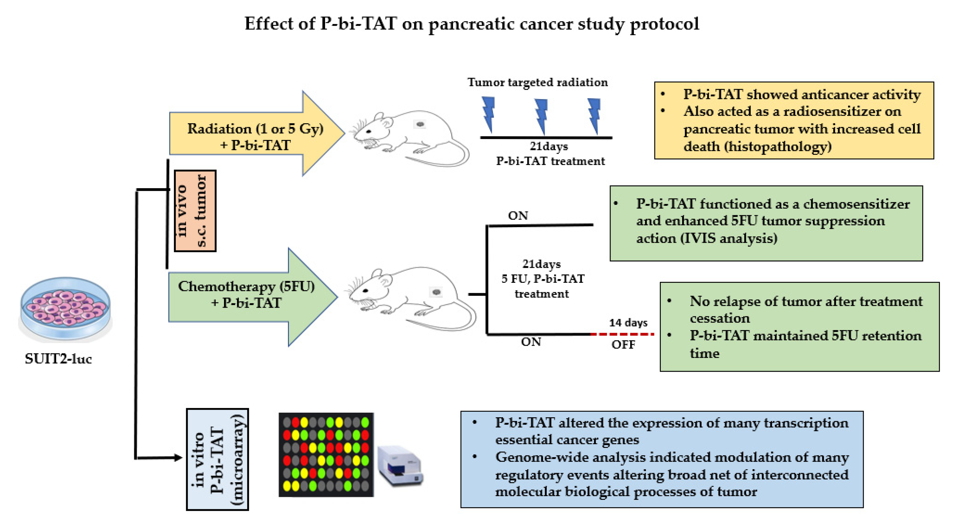 Biomedicines 10 00795 g007 Biomedicines 10 00795 g007