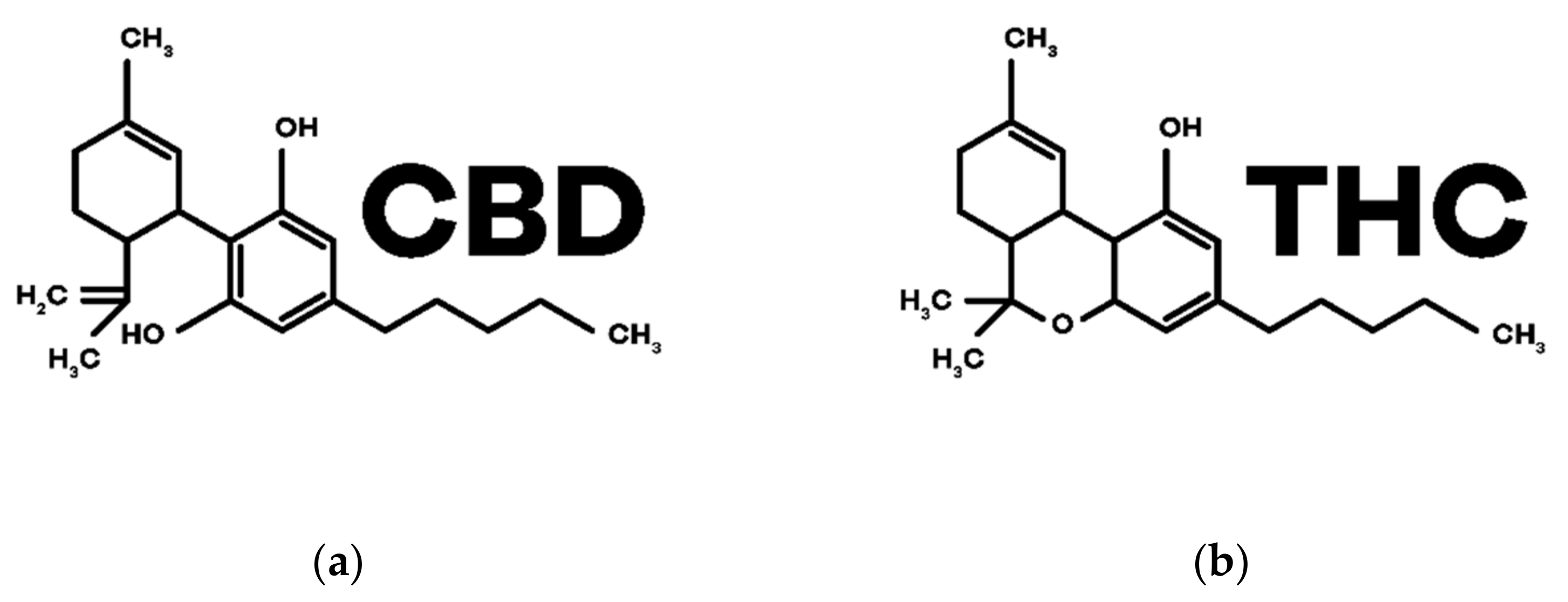 Biomedicines 10 00796 g003 550