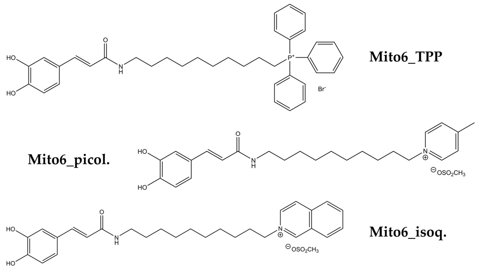 Biomedicines 10 00800 g002