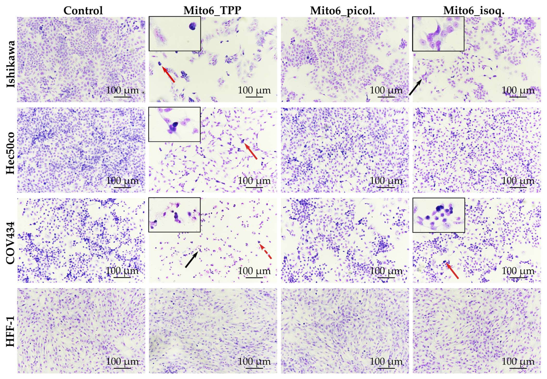 Biomedicines 10 00800 g005